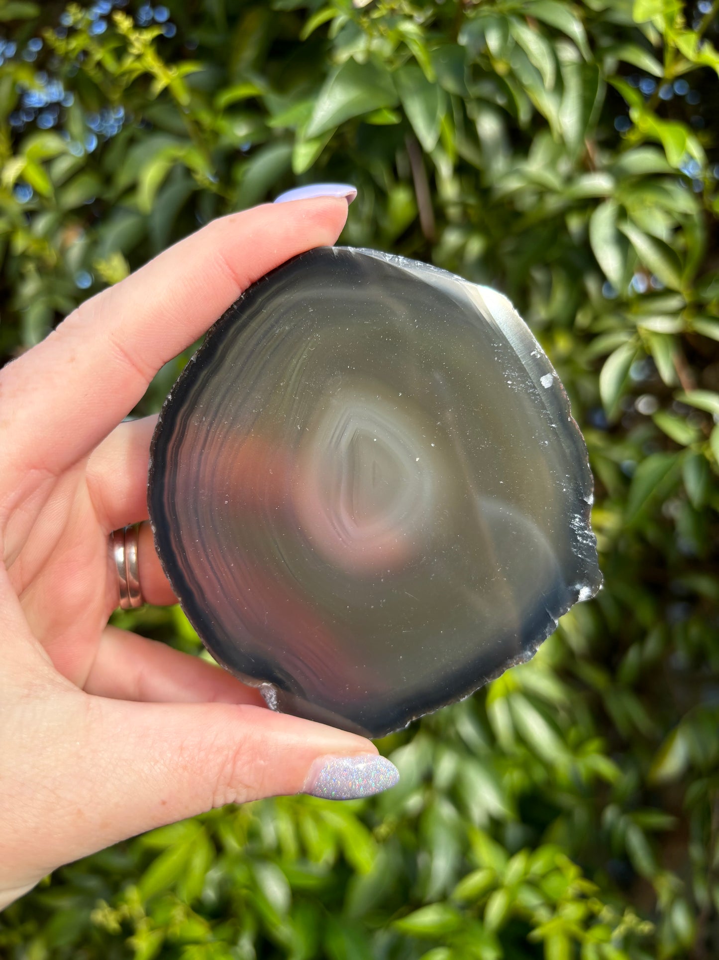 Agate Slice | Brown H