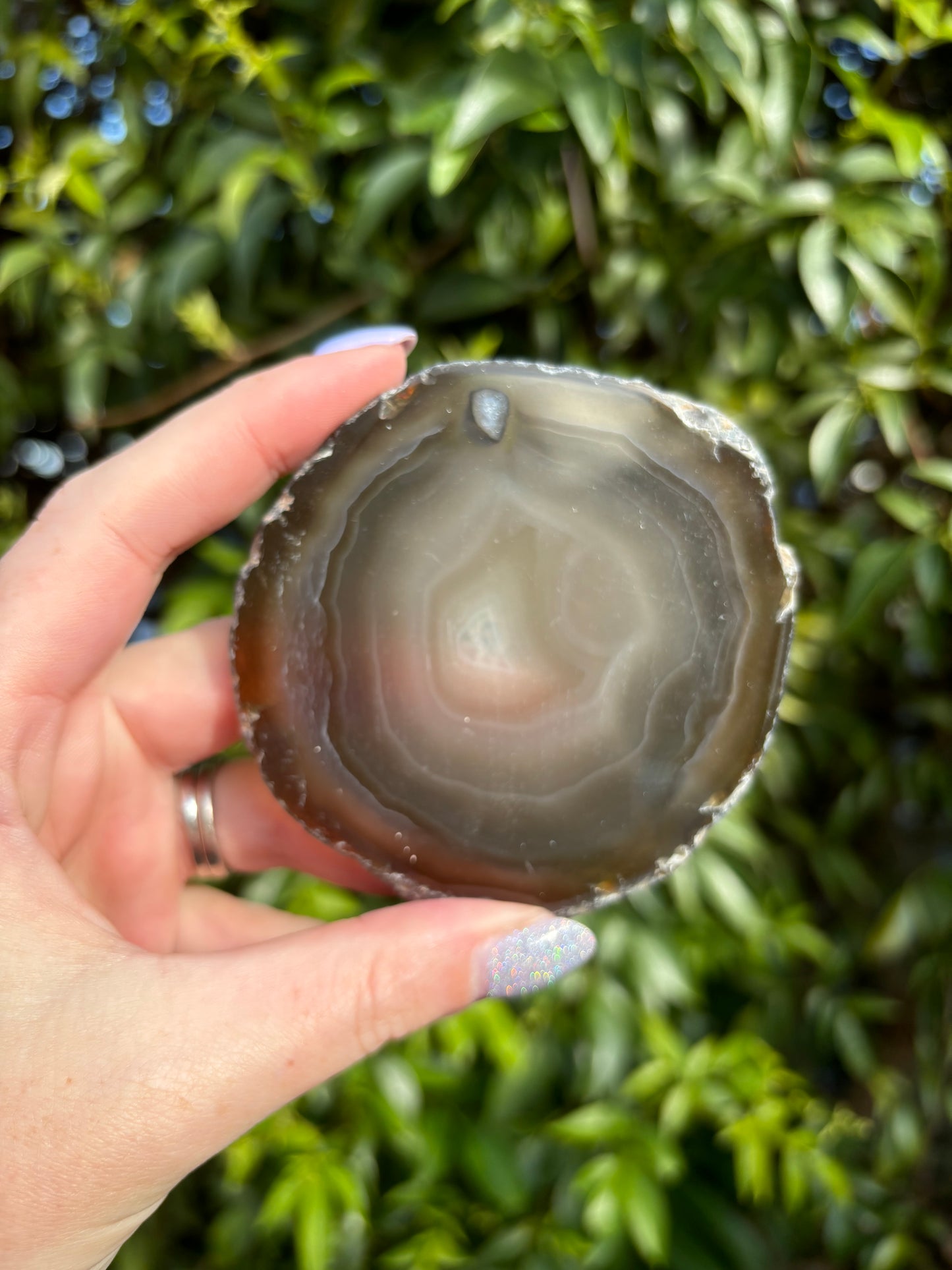 Agate Slice | Brown M
