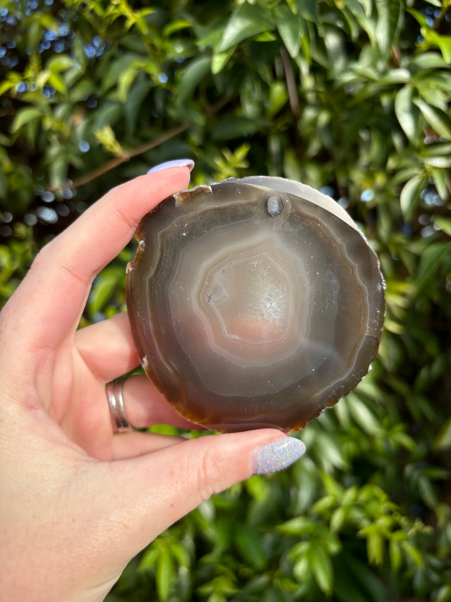 Agate Slice | Brown M