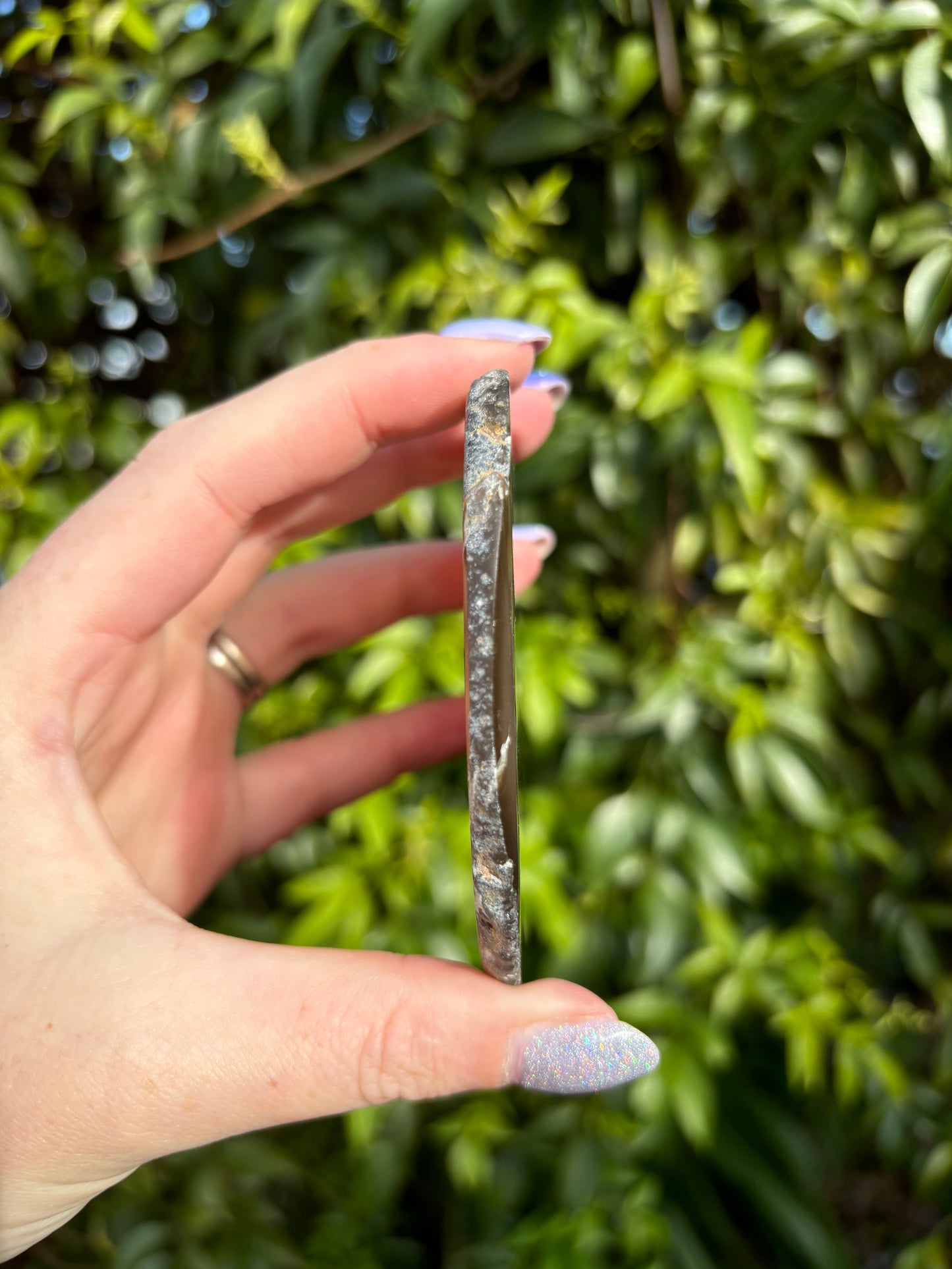 Agate Slice | Brown M