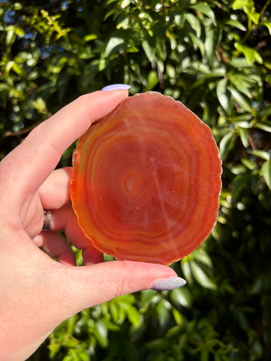 Agate Slice | Orange A