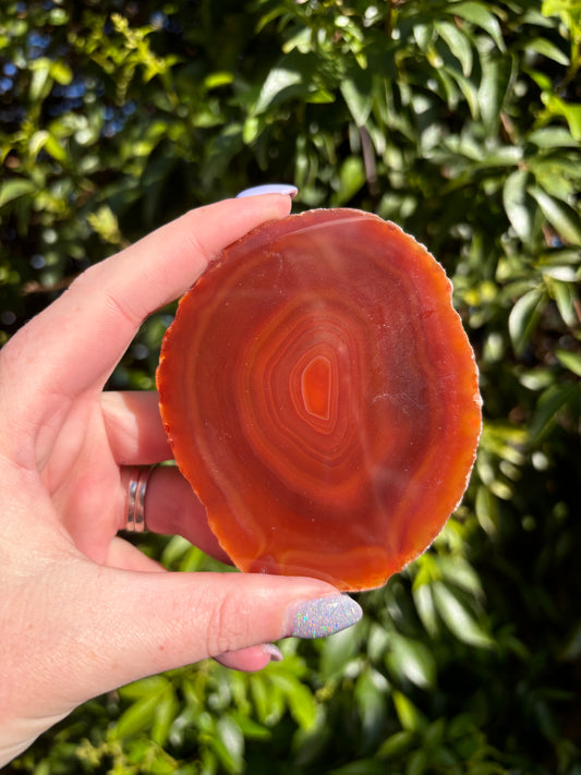 Agate Slice | Orange B