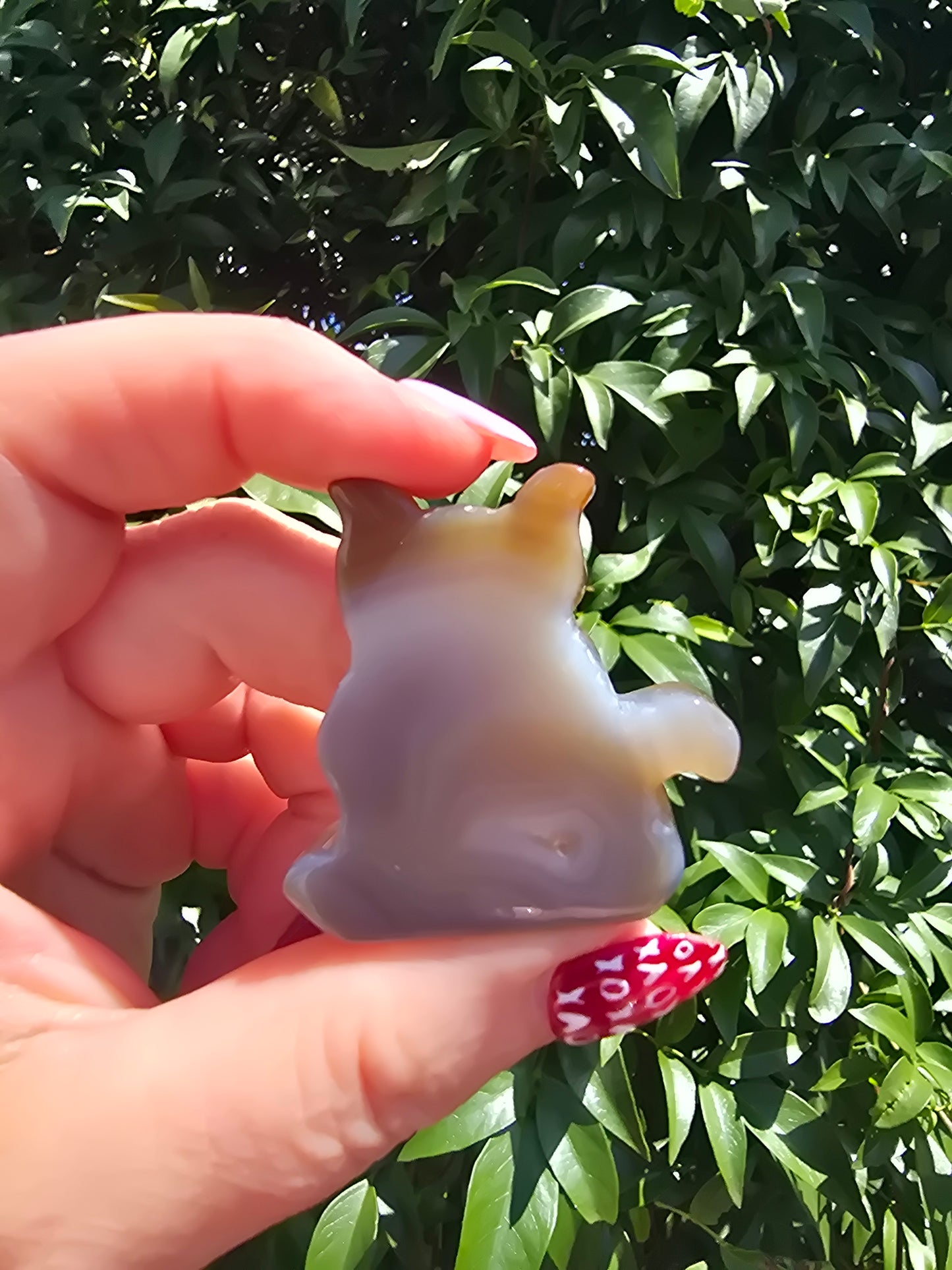 Natural Agate Druzy Small Cat B