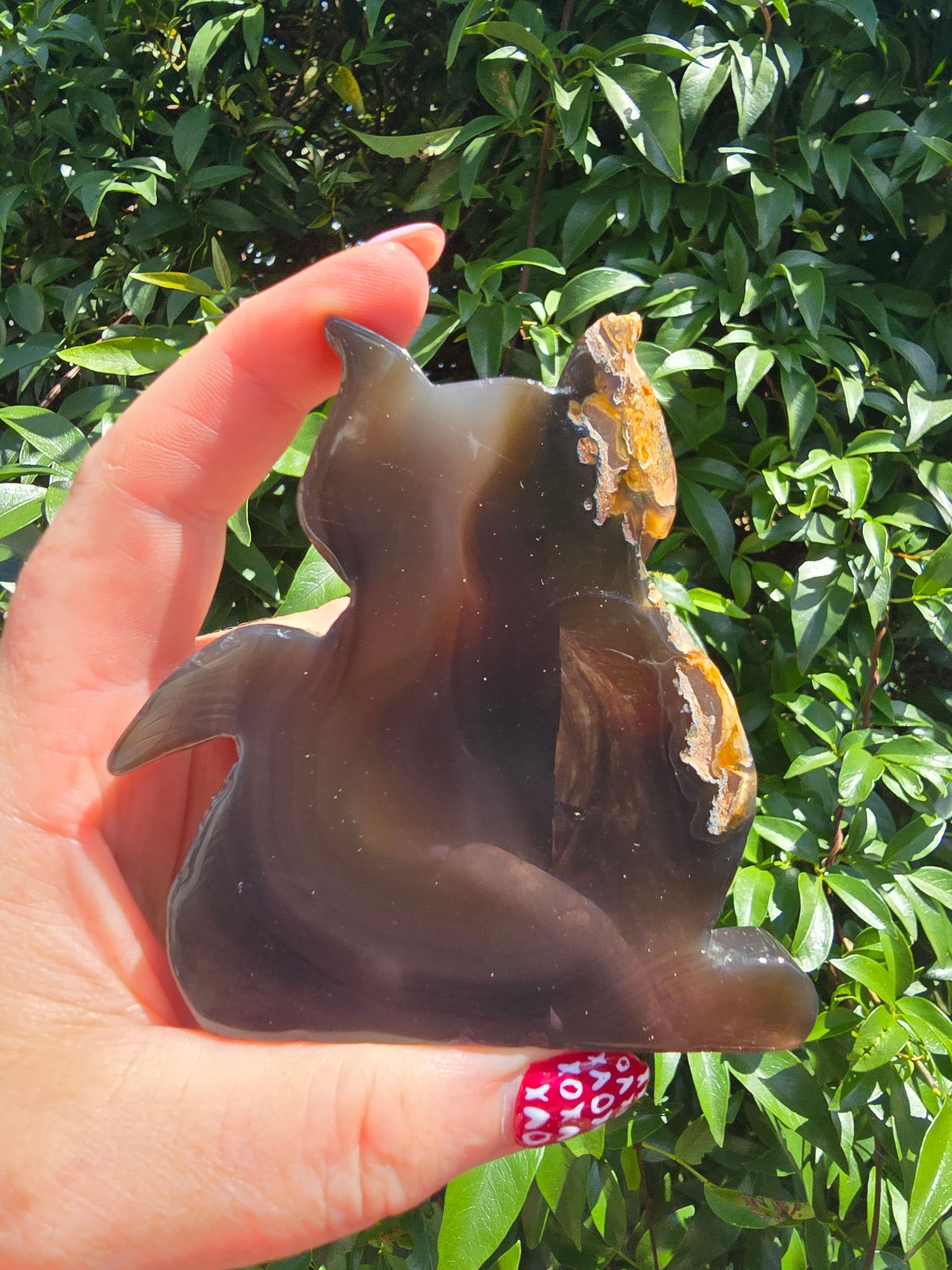 Natural Agate Druzy Large Cat F