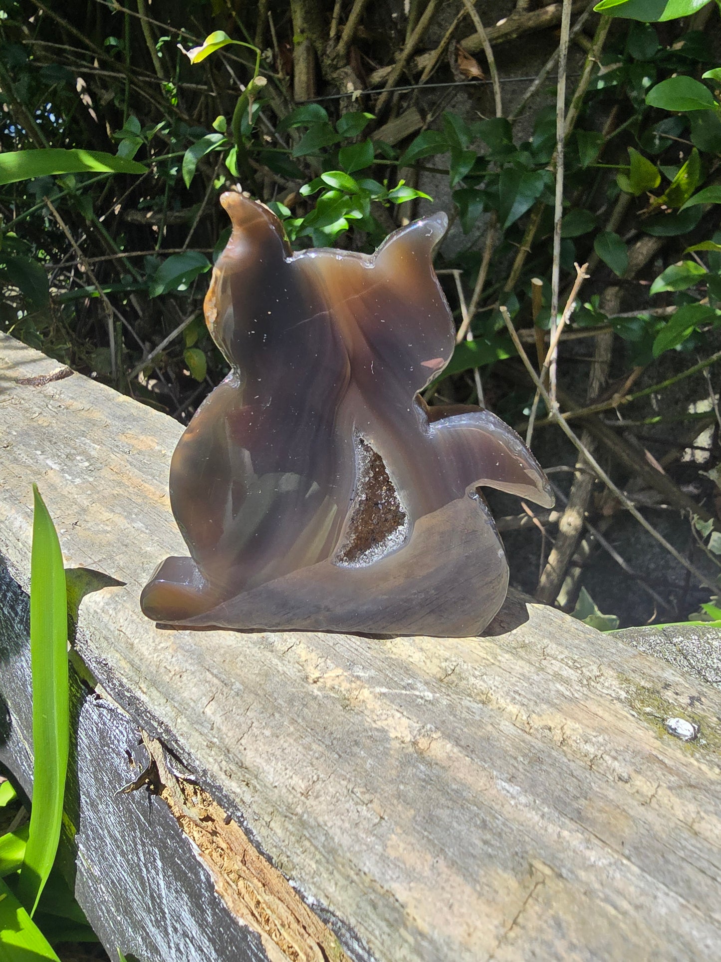 Natural Agate Druzy Large Cat F