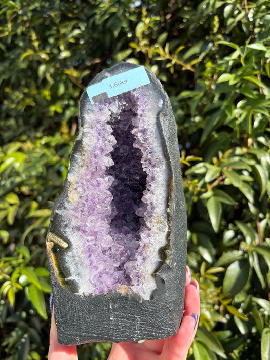 Amethyst Geode | Cave A 1.6kgs