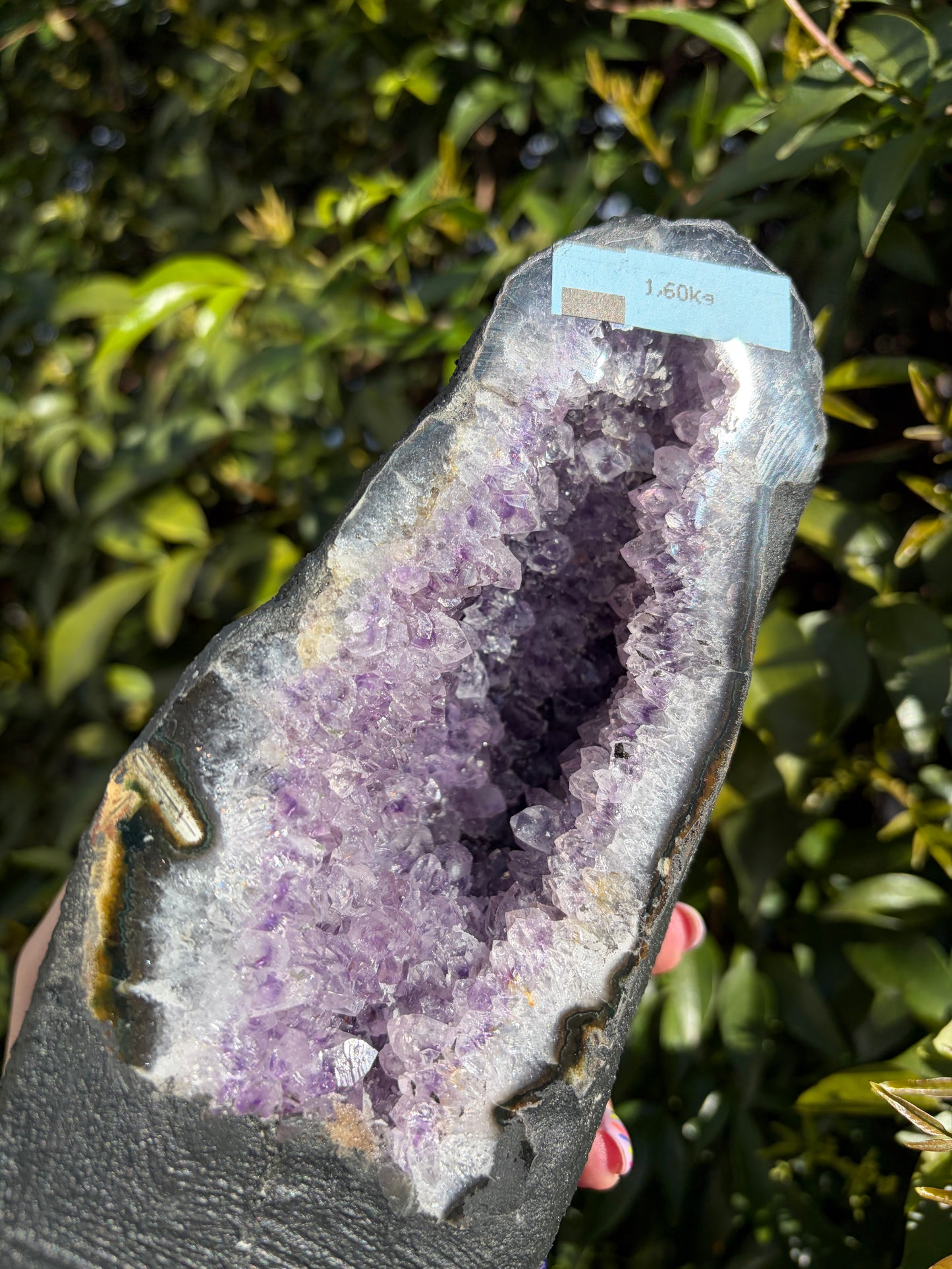 Amethyst Geode | Cave A 1.6kgs