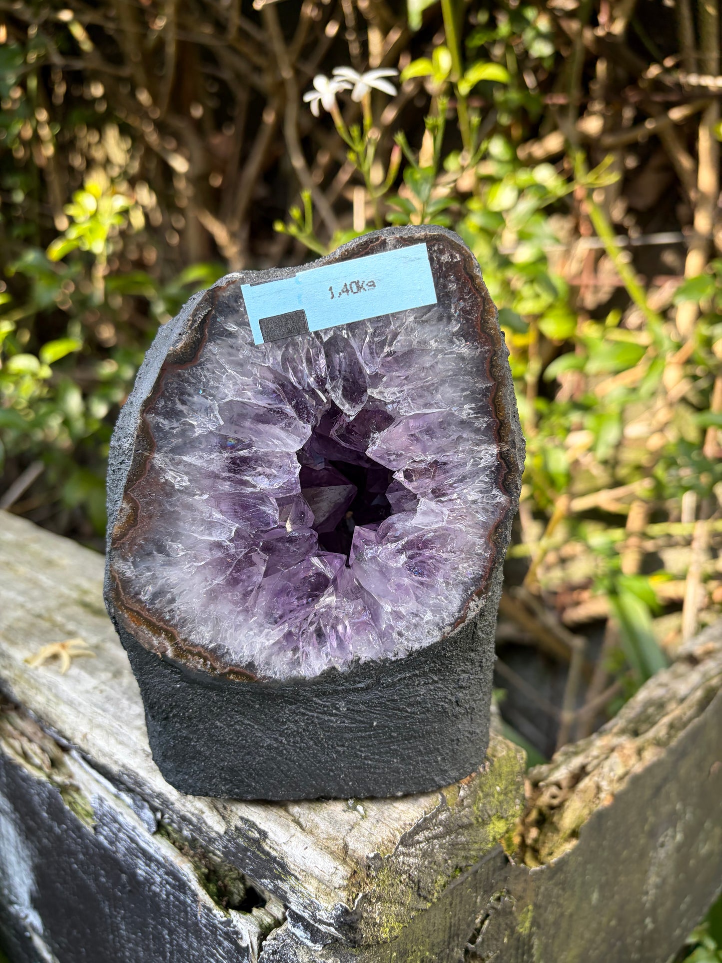 Amethyst Geode | Cave B 1.4kgs