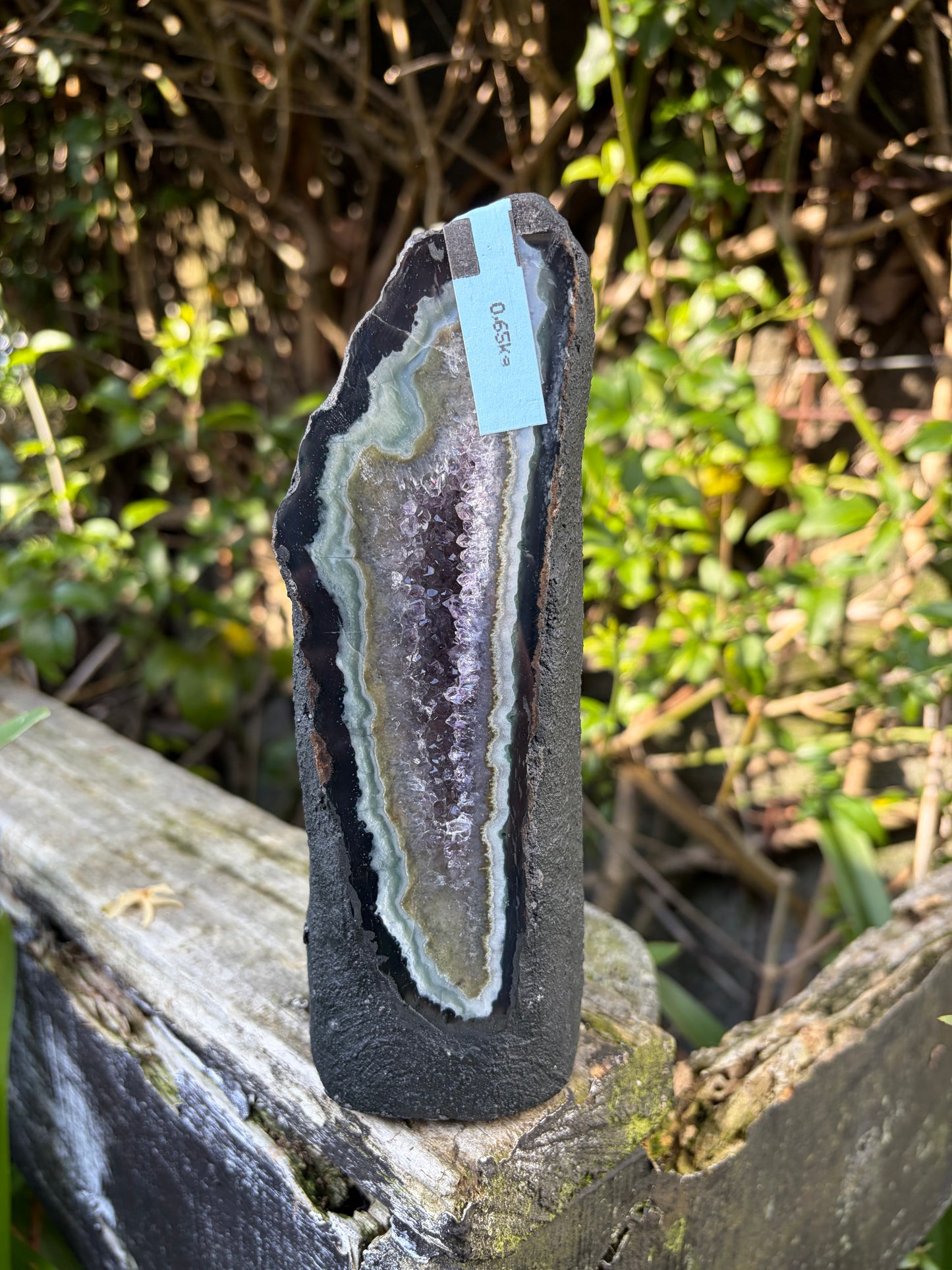 Amethyst Geode | Cave D