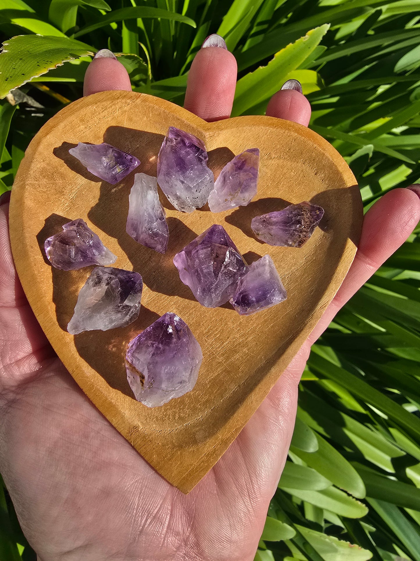 Amethyst Medium Rough Points 10 Pack Valued at $30