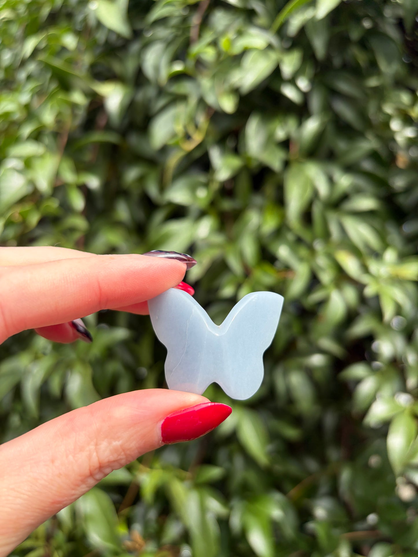 Angelite 3D Medium Butterfly A