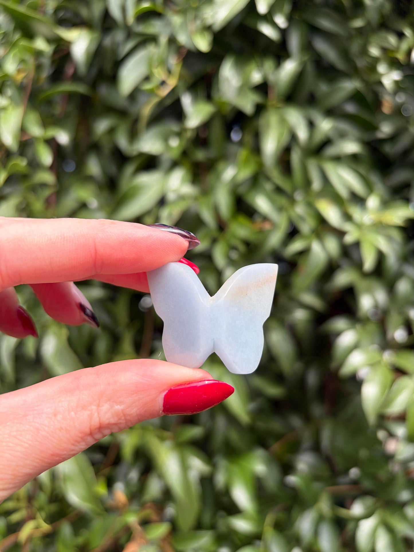 Angelite 3D Medium Butterfly C