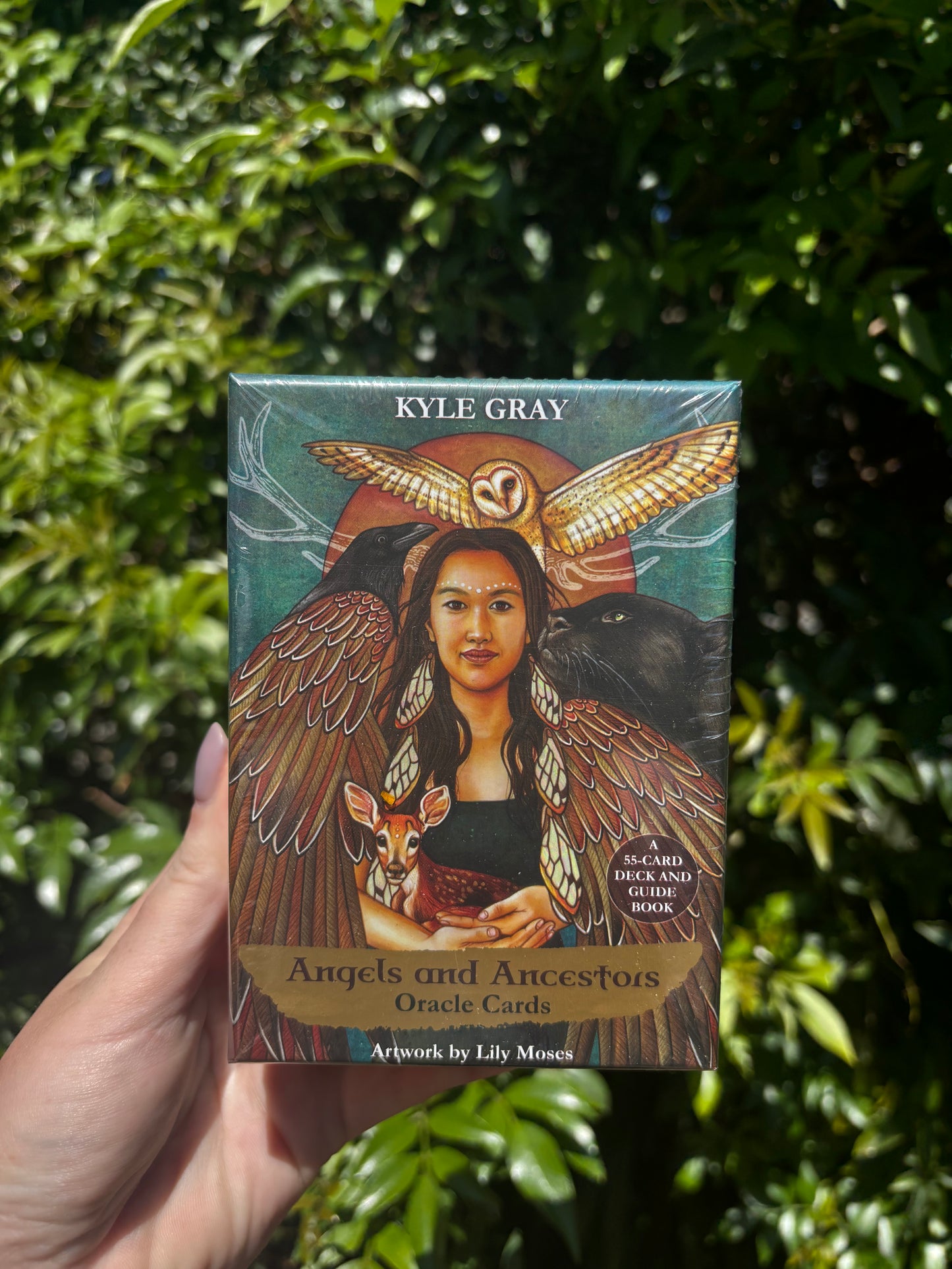 Angels And Ancestors Oracle Cards