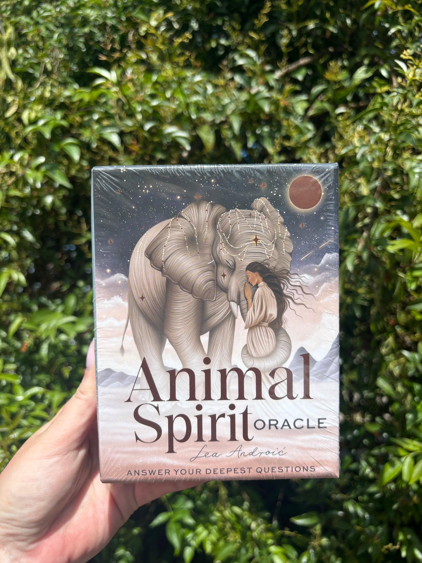 Animal Spirit Oracle Cards