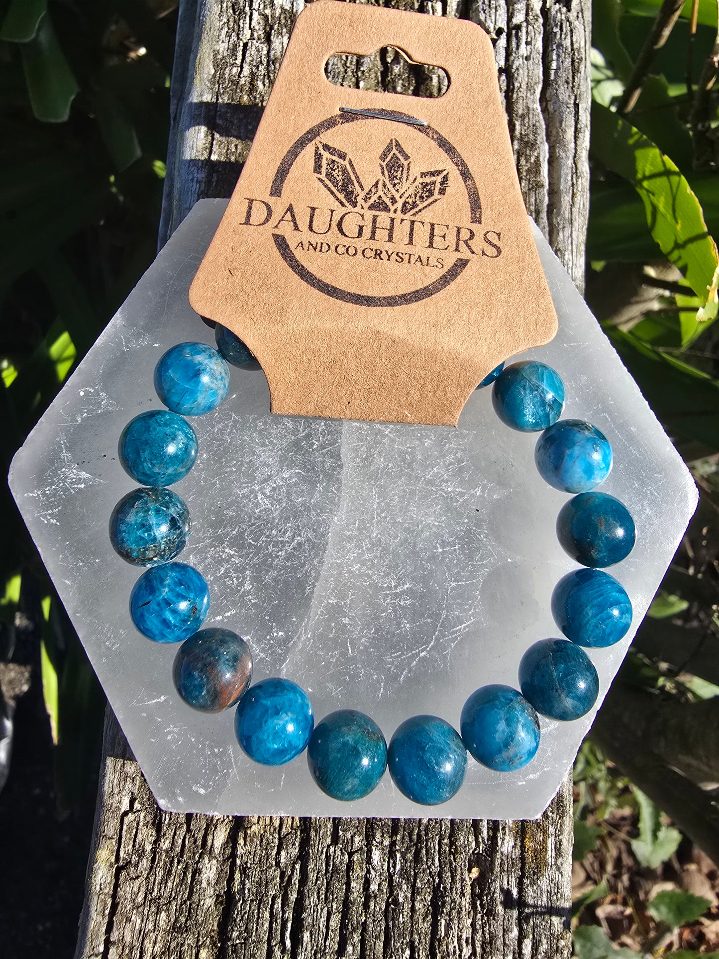 Apatite | Round Bead Bracelet