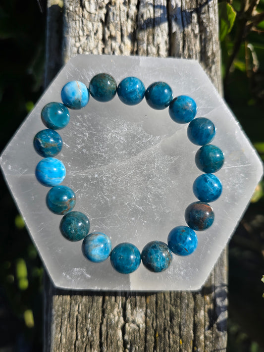 Apatite | Round Bead Bracelet