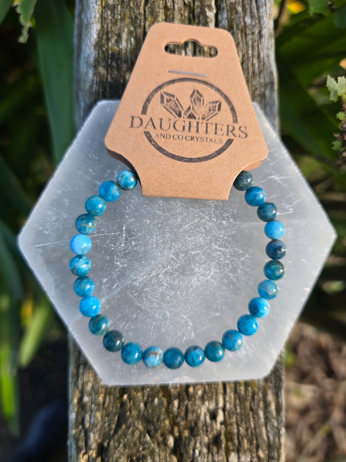 Apatite | Round Bead Bracelet 6 mm