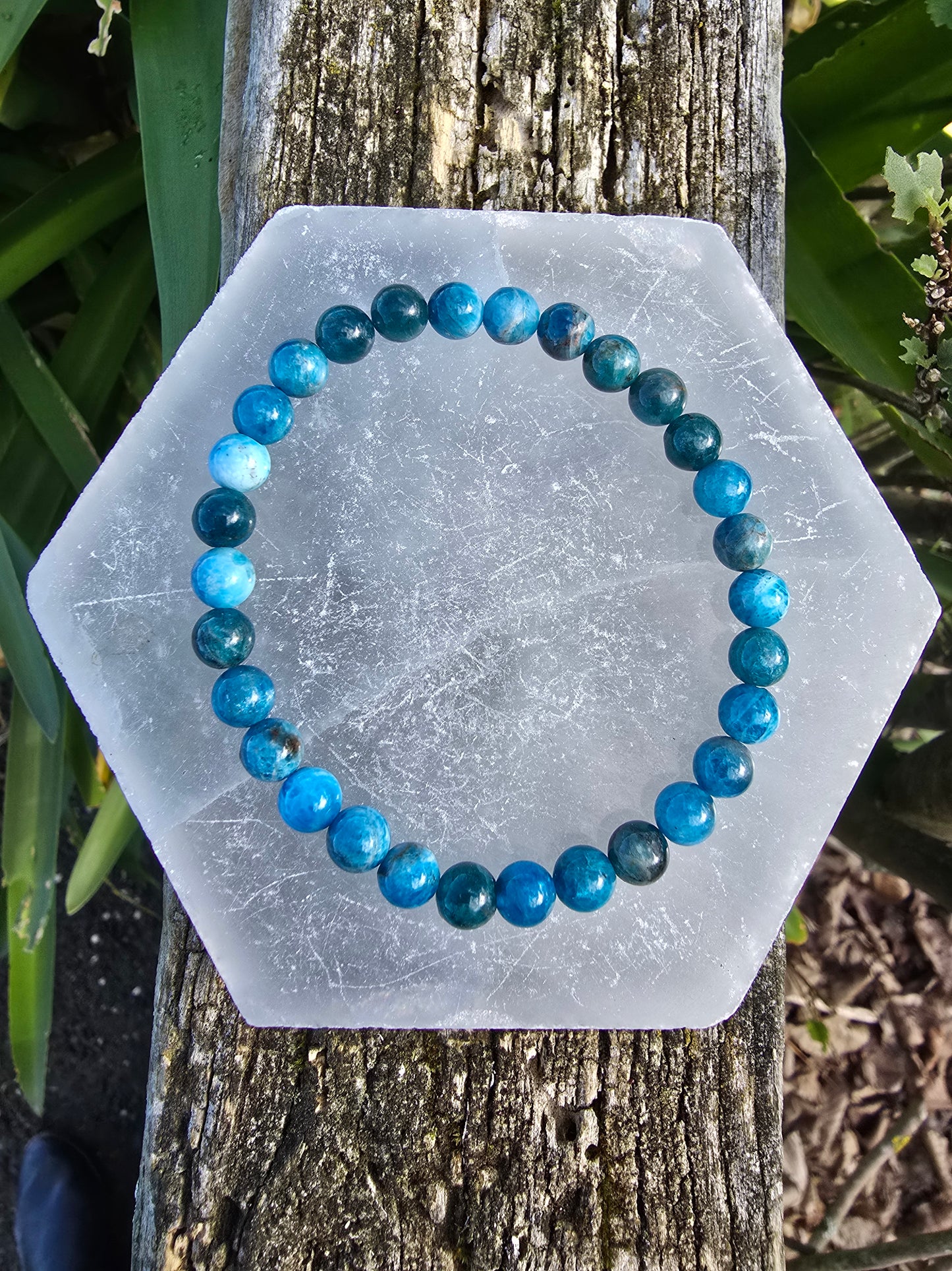 Apatite | Round Bead Bracelet 6 mm