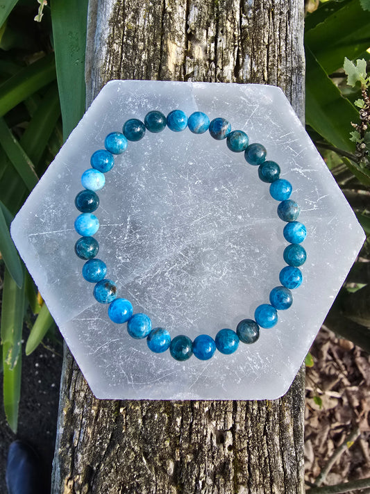 Apatite | Round Bead Bracelet 6 mm