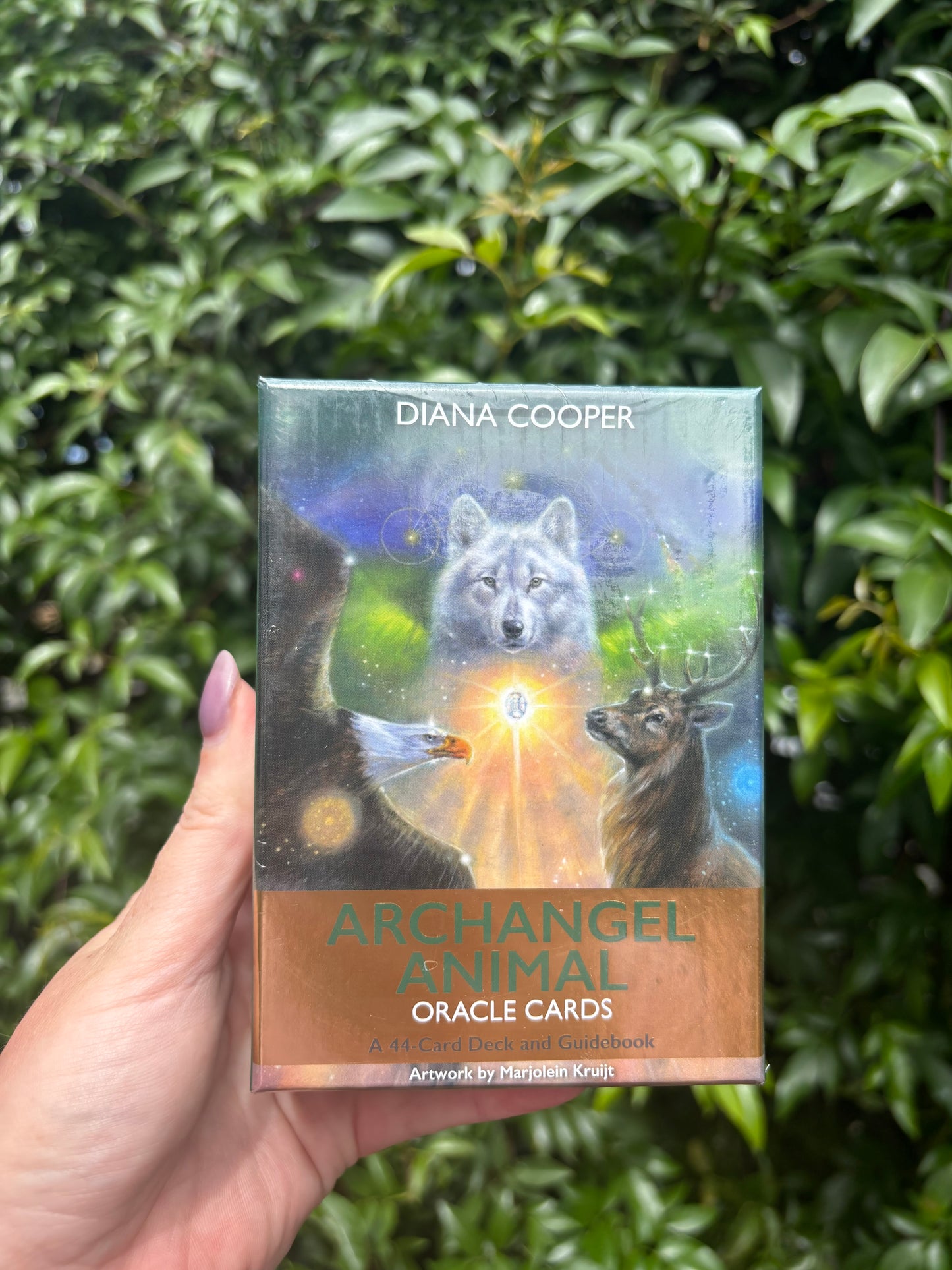 Archangel Animal Oracle Cards