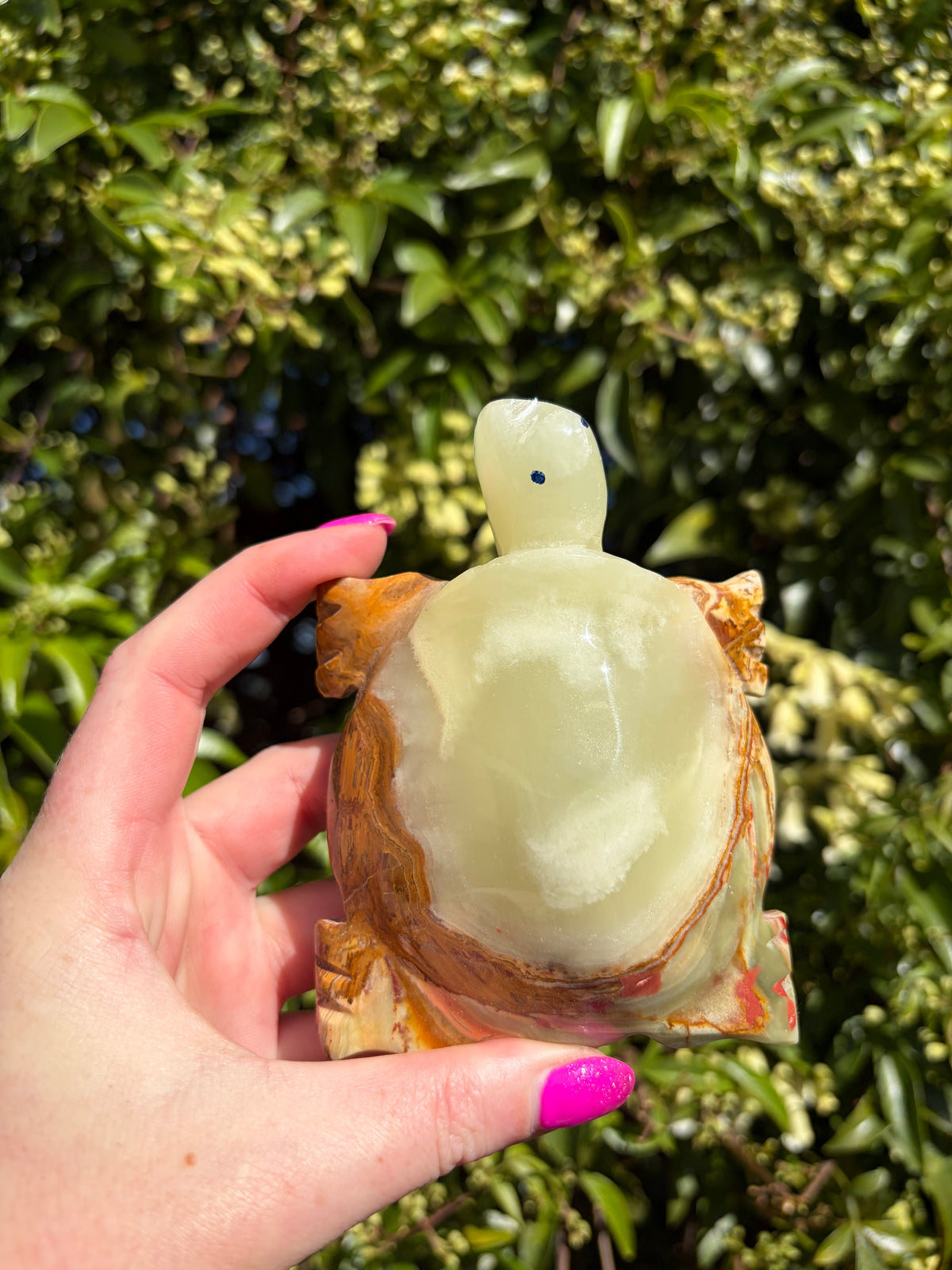 Banded Calcite Large Turtle A