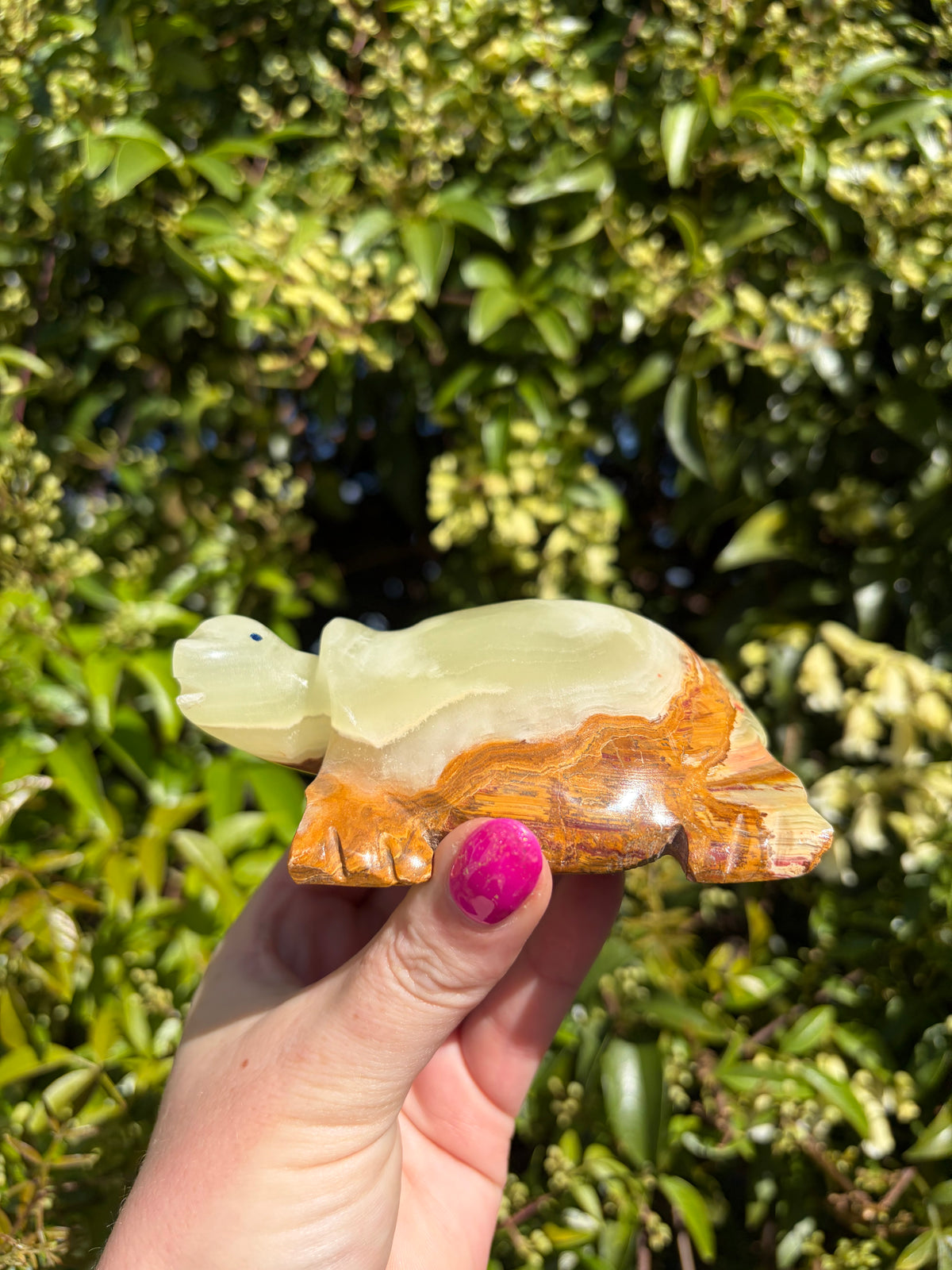 Banded Calcite Large Turtle A