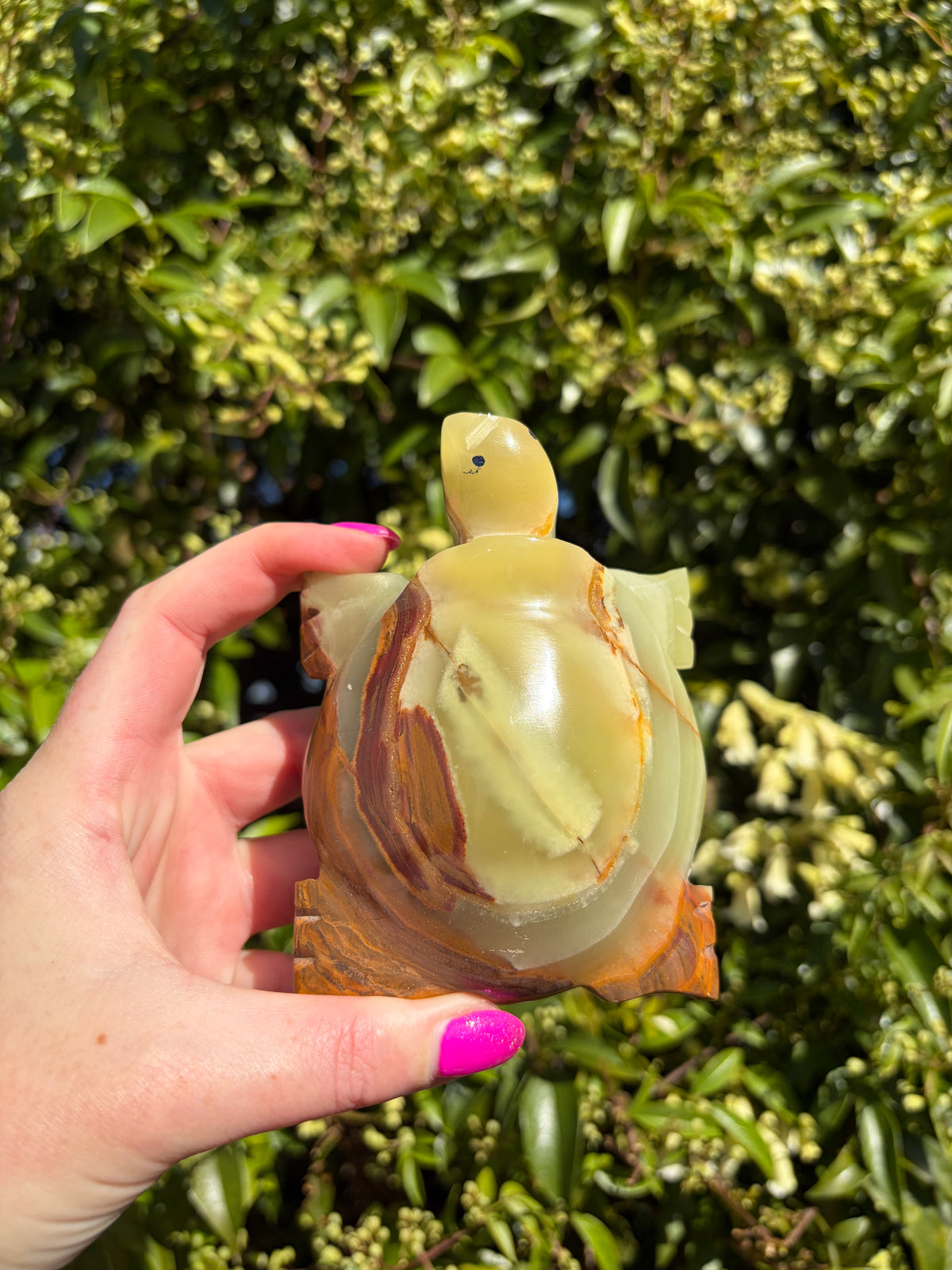 Banded Calcite Large Turtle B