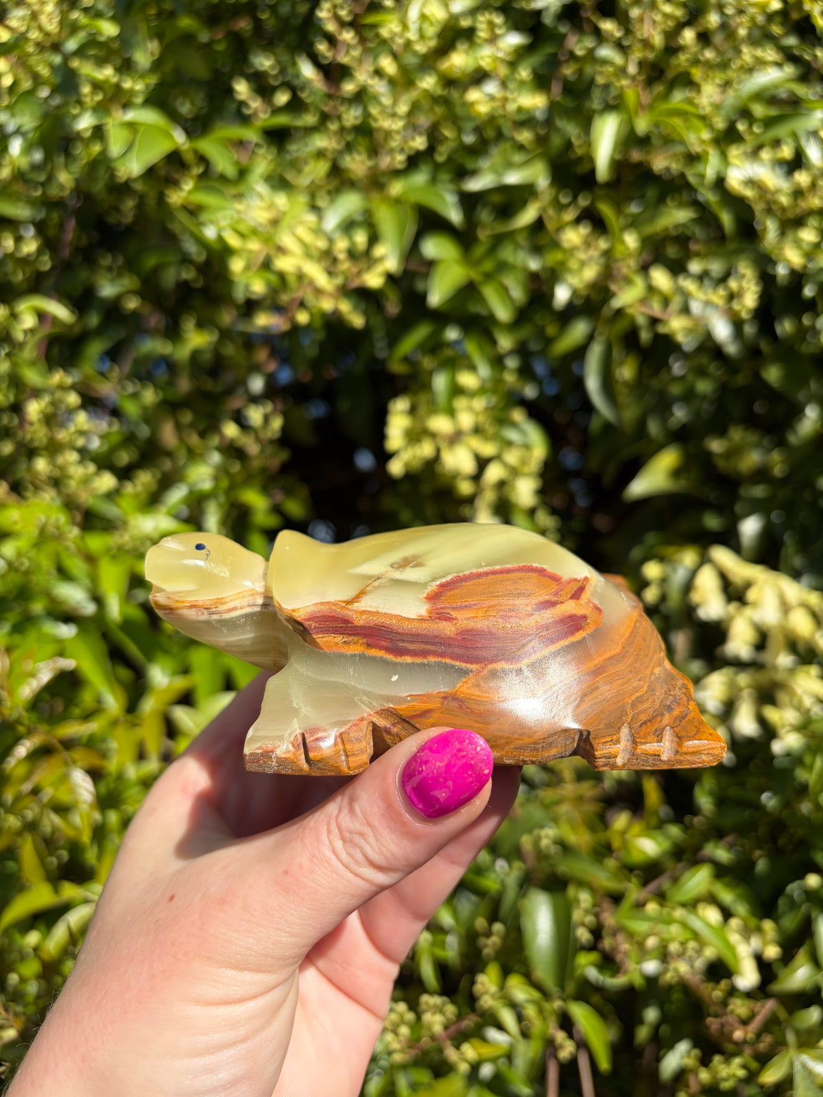 Banded Calcite Large Turtle B