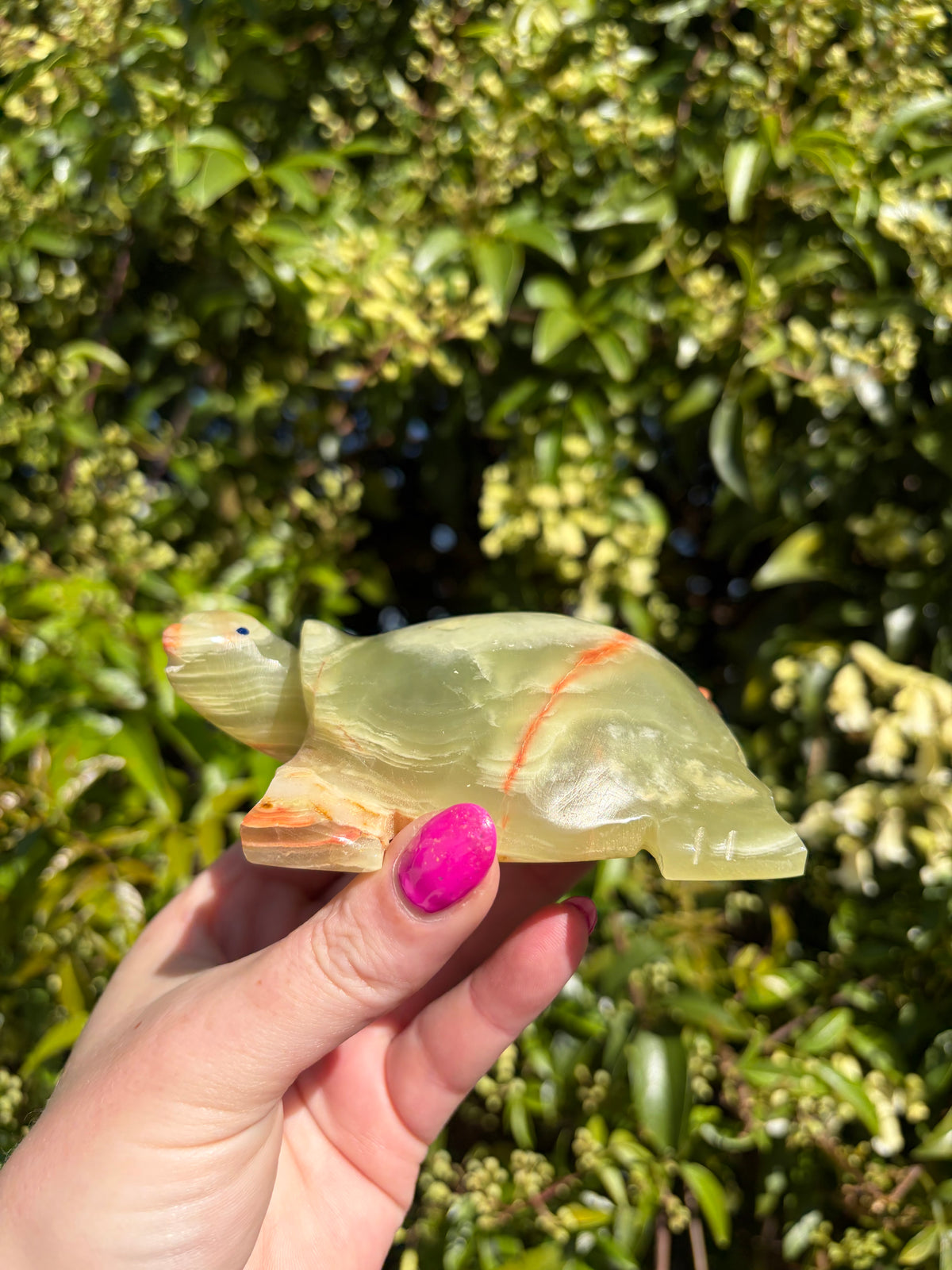 Banded Calcite Large Turtle C