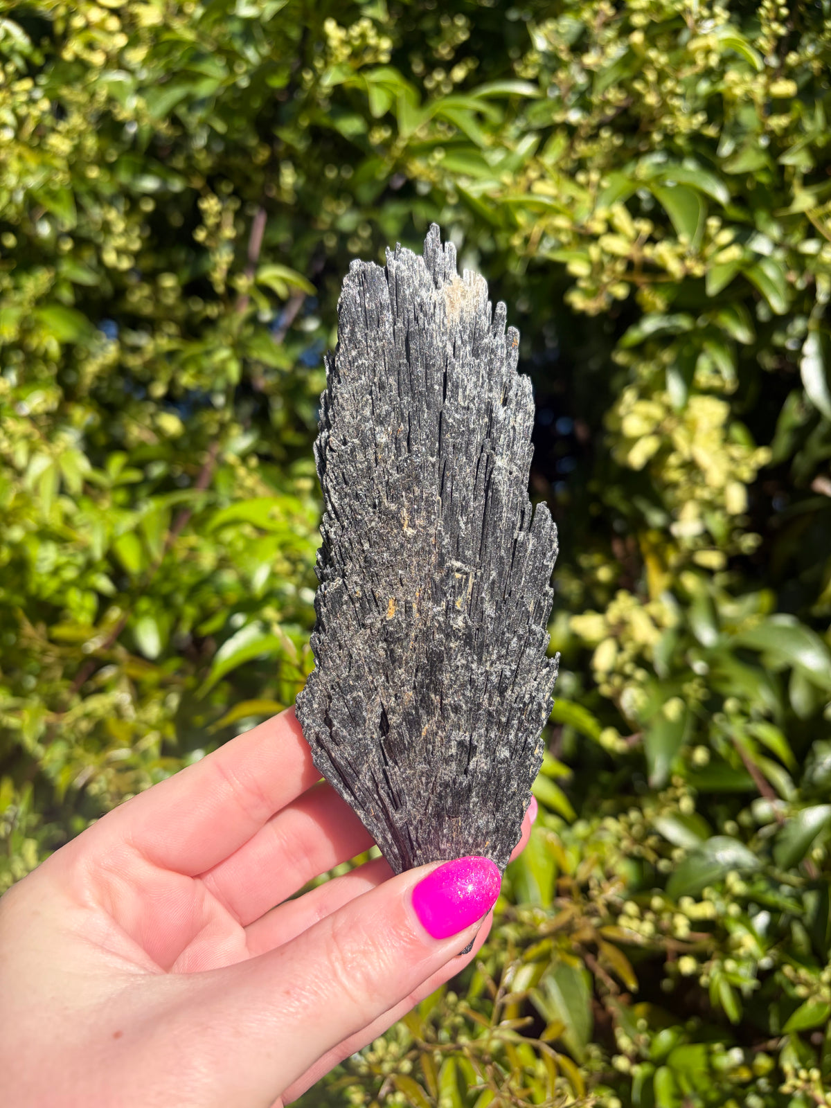 Black Kyanite Fan Piece A