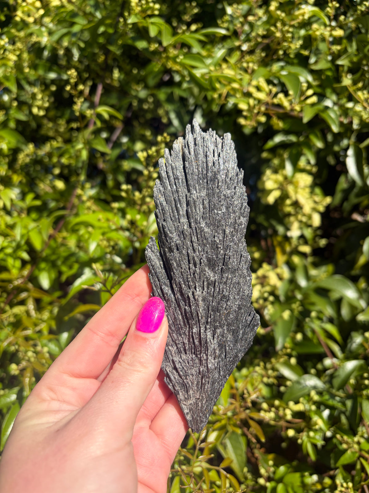 Black Kyanite Fan Piece A