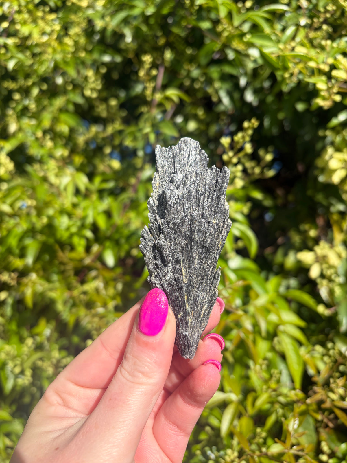 Black Kyanite Fan Piece B