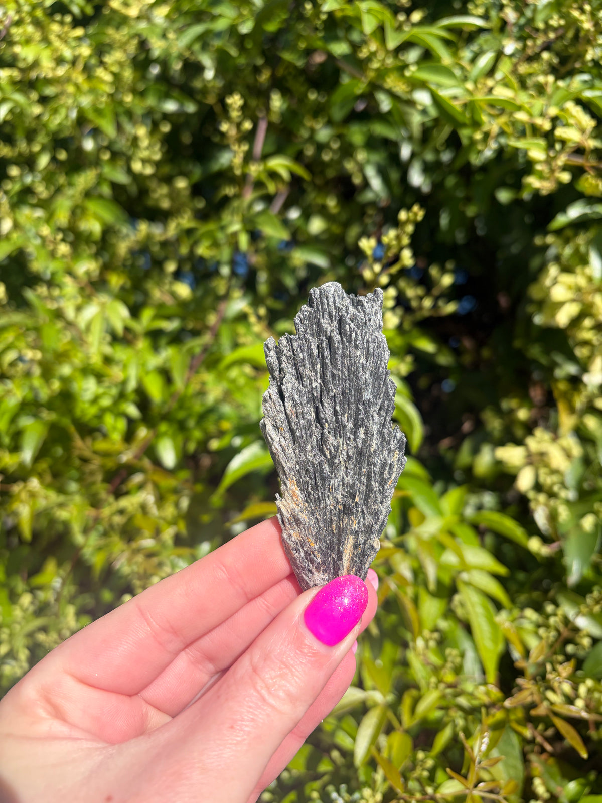 Black Kyanite Fan Piece B