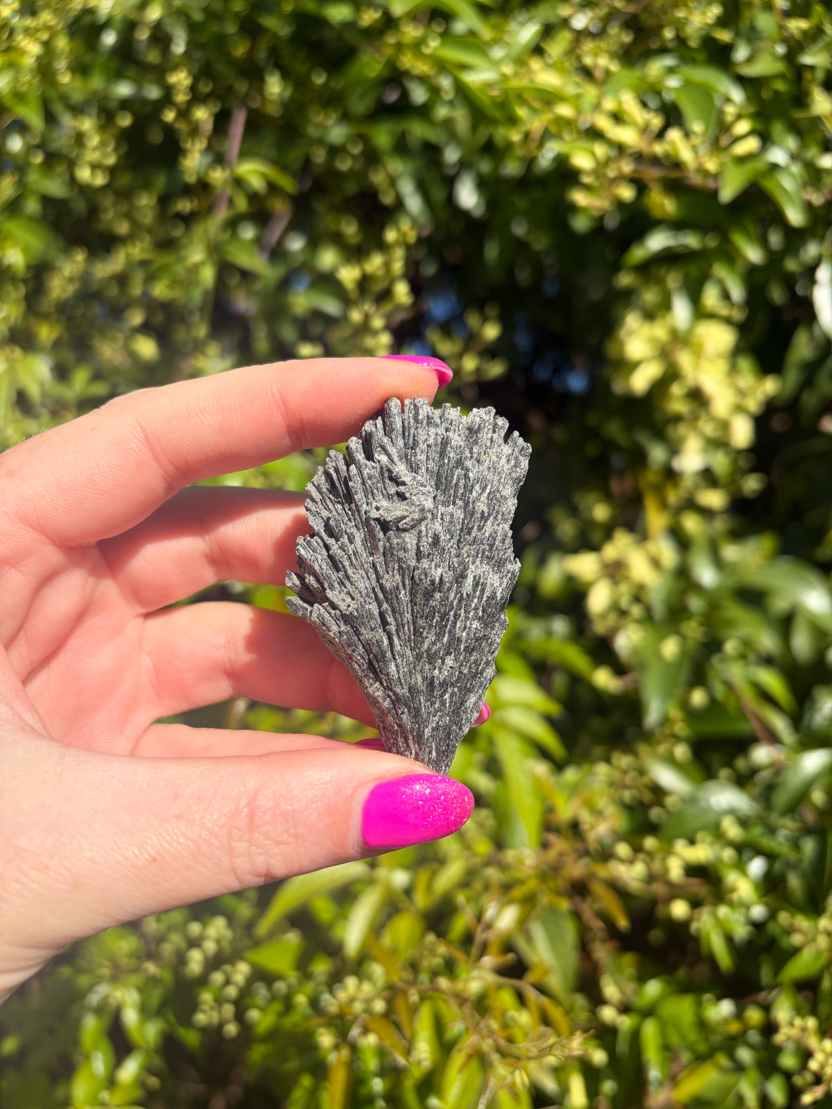 Black Kyanite Fan Piece C