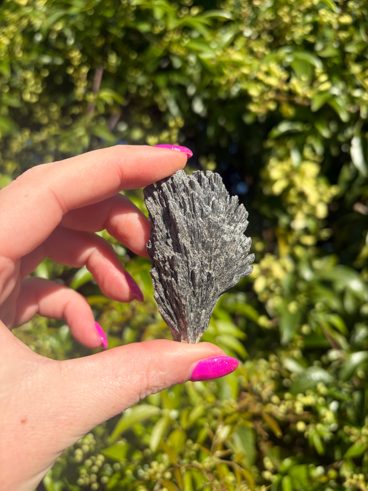 Black Kyanite Fan Piece C