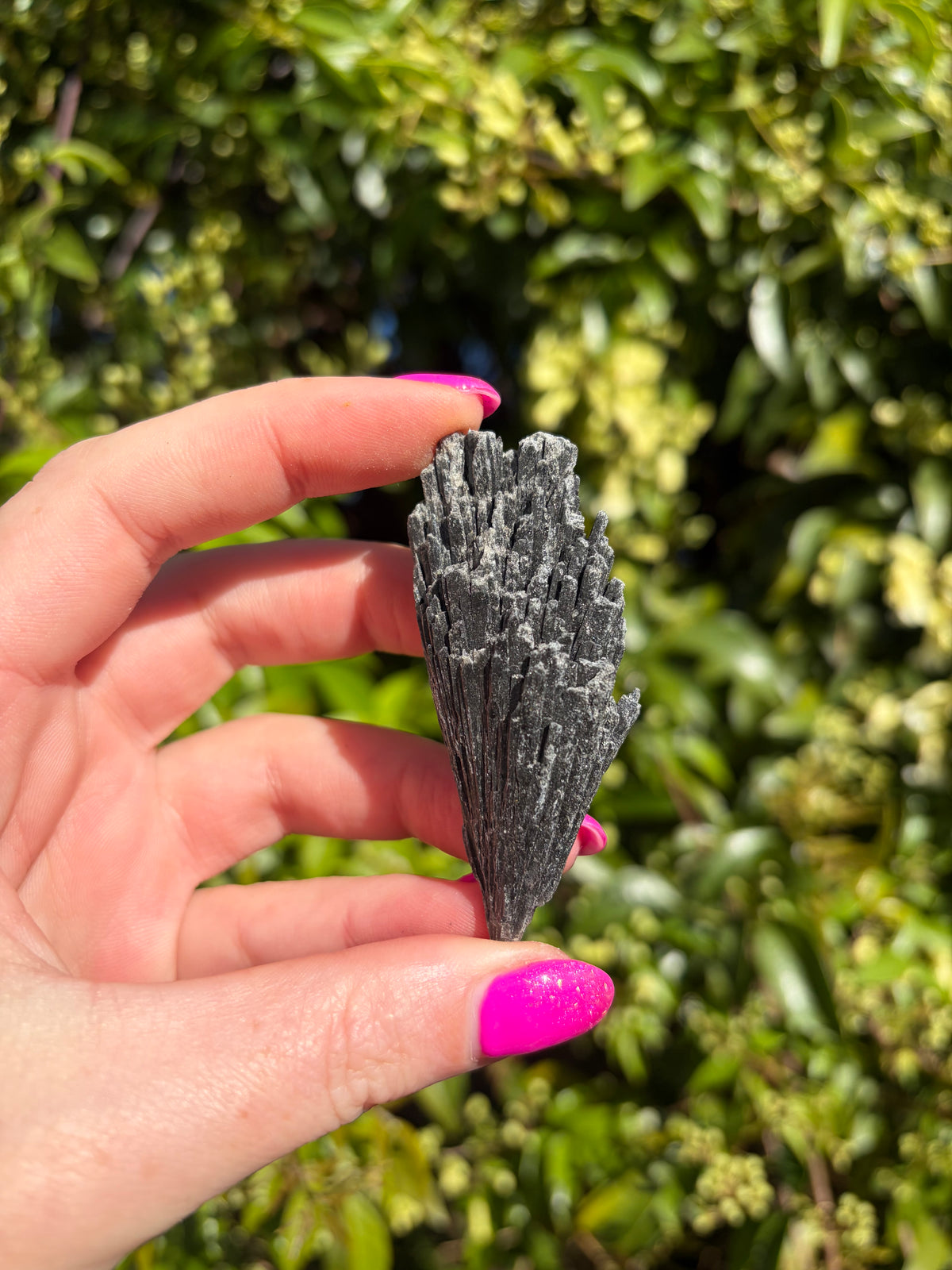 Black Kyanite Fan Piece D
