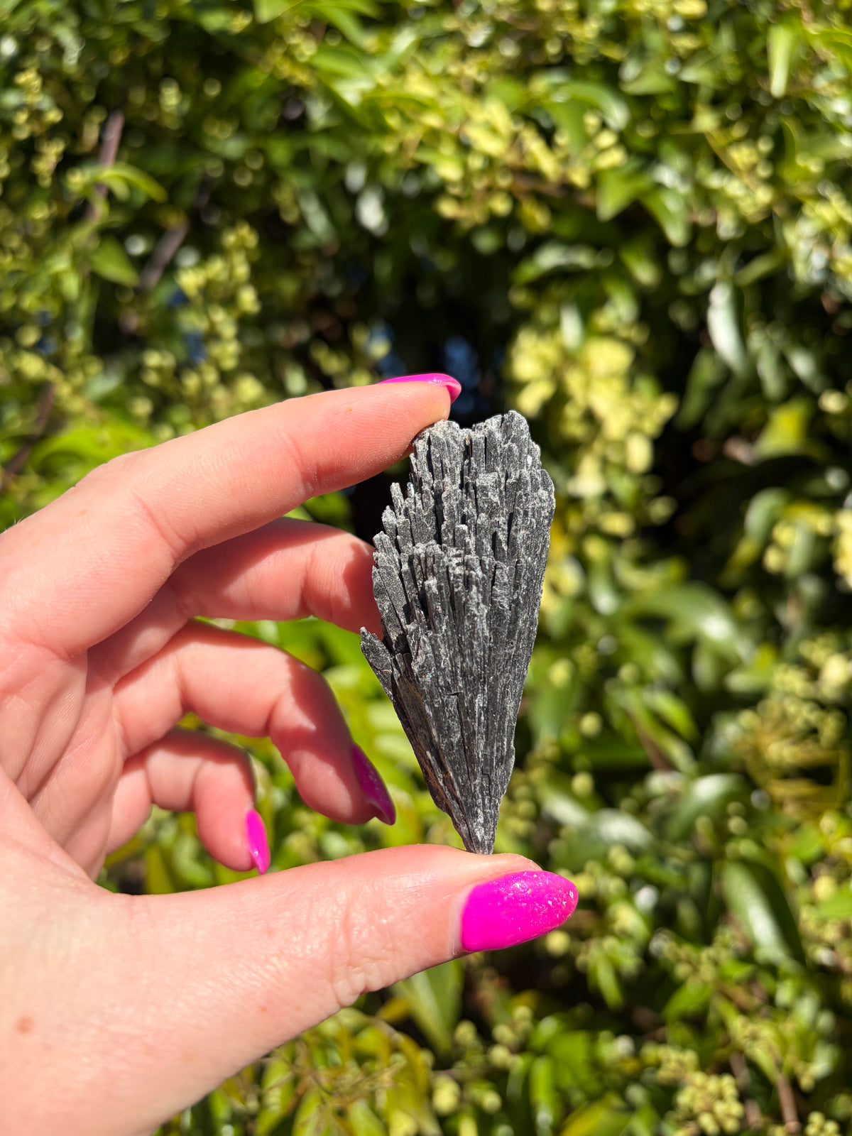 Black Kyanite Fan Piece D