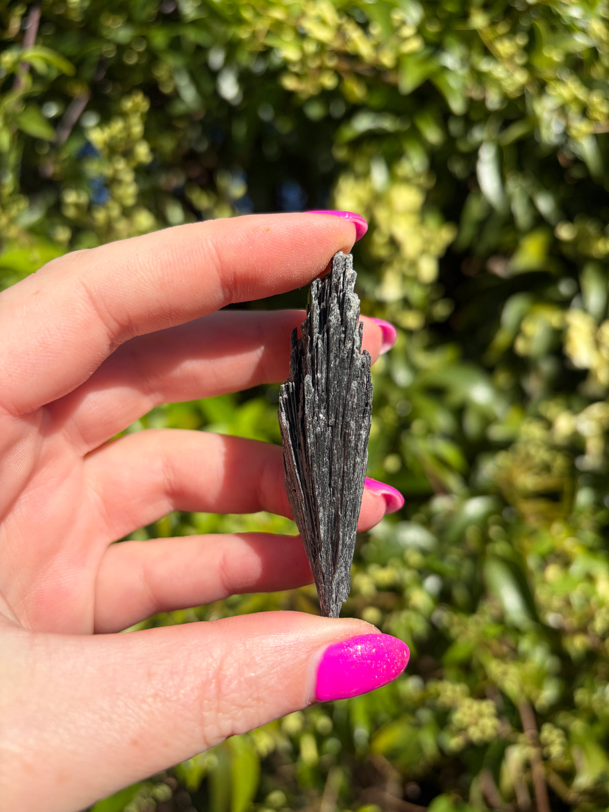 Black Kyanite Fan Piece D