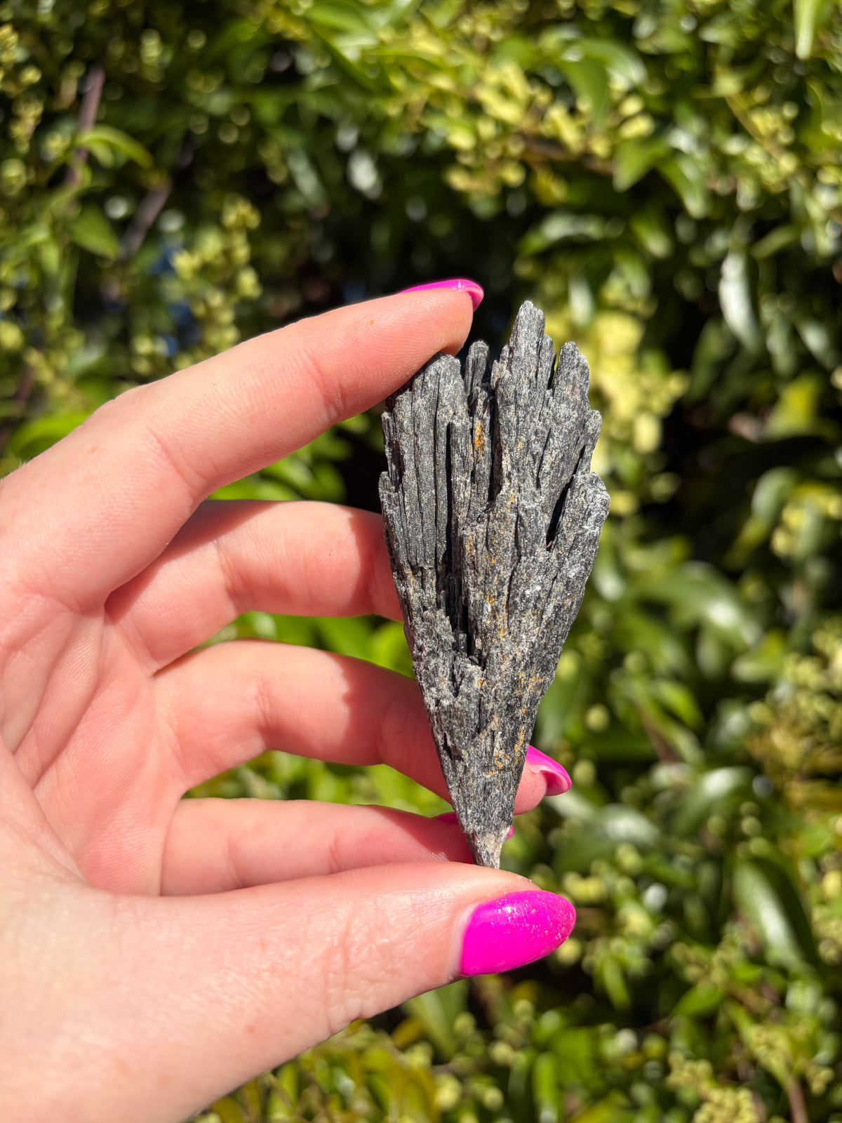 Black Kyanite Fan Piece E
