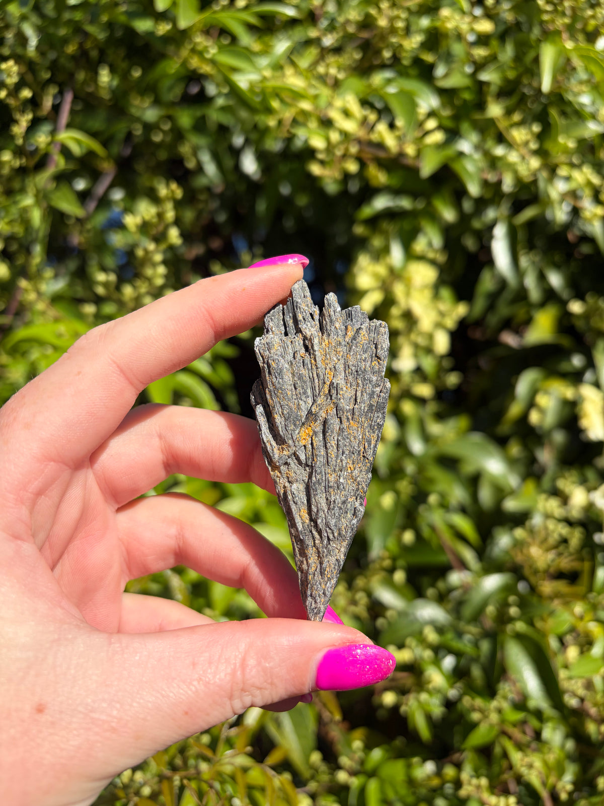 Black Kyanite Fan Piece E