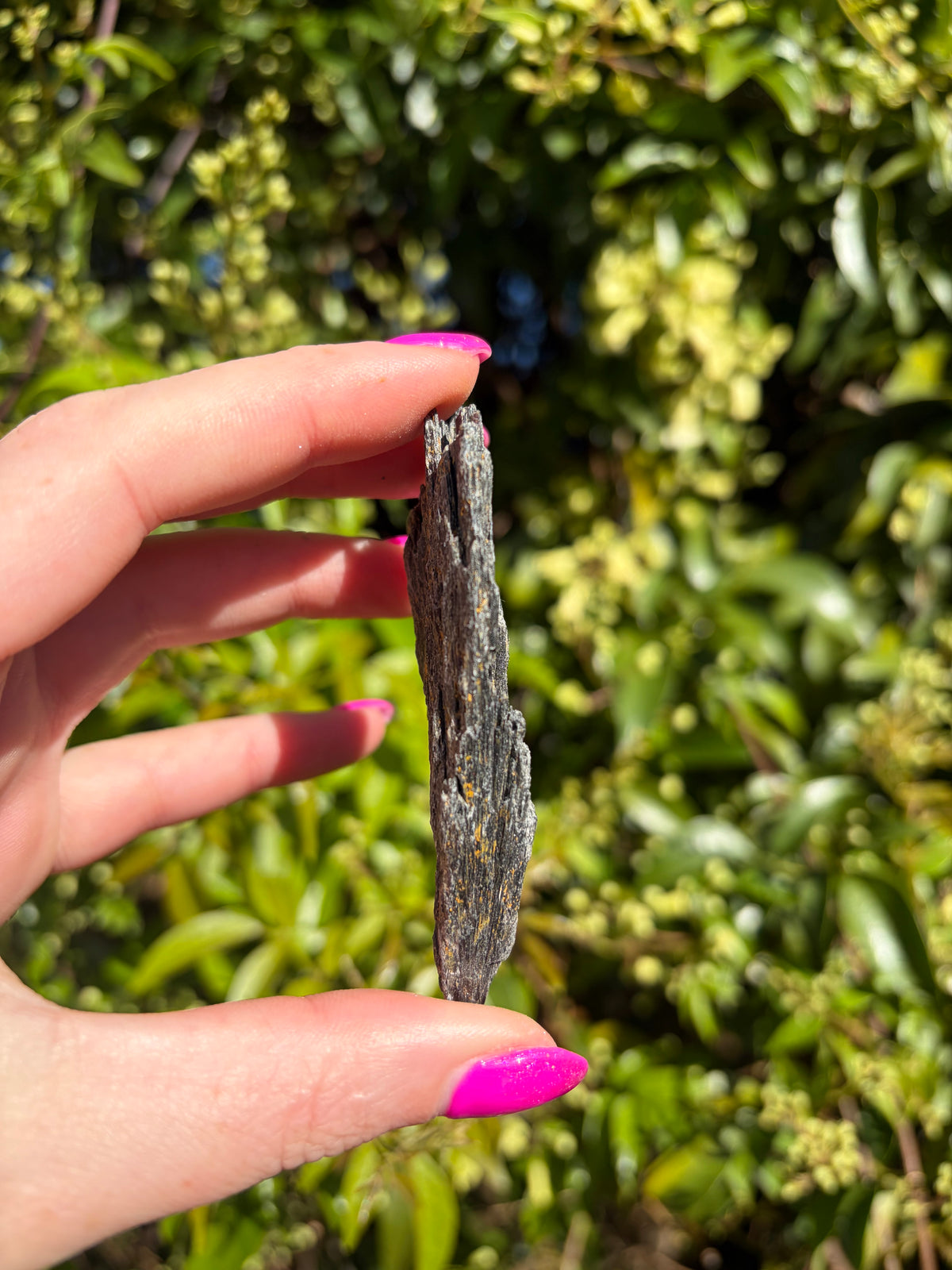 Black Kyanite Fan Piece E