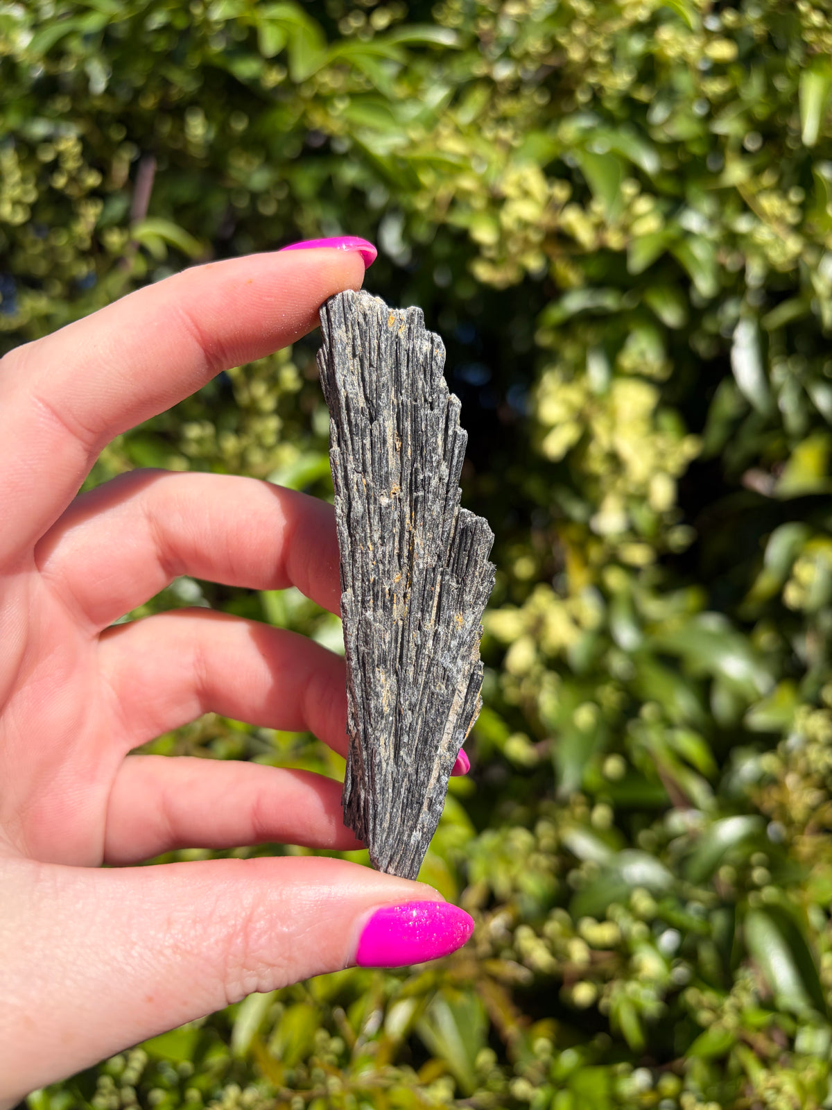 Black Kyanite Fan Piece F