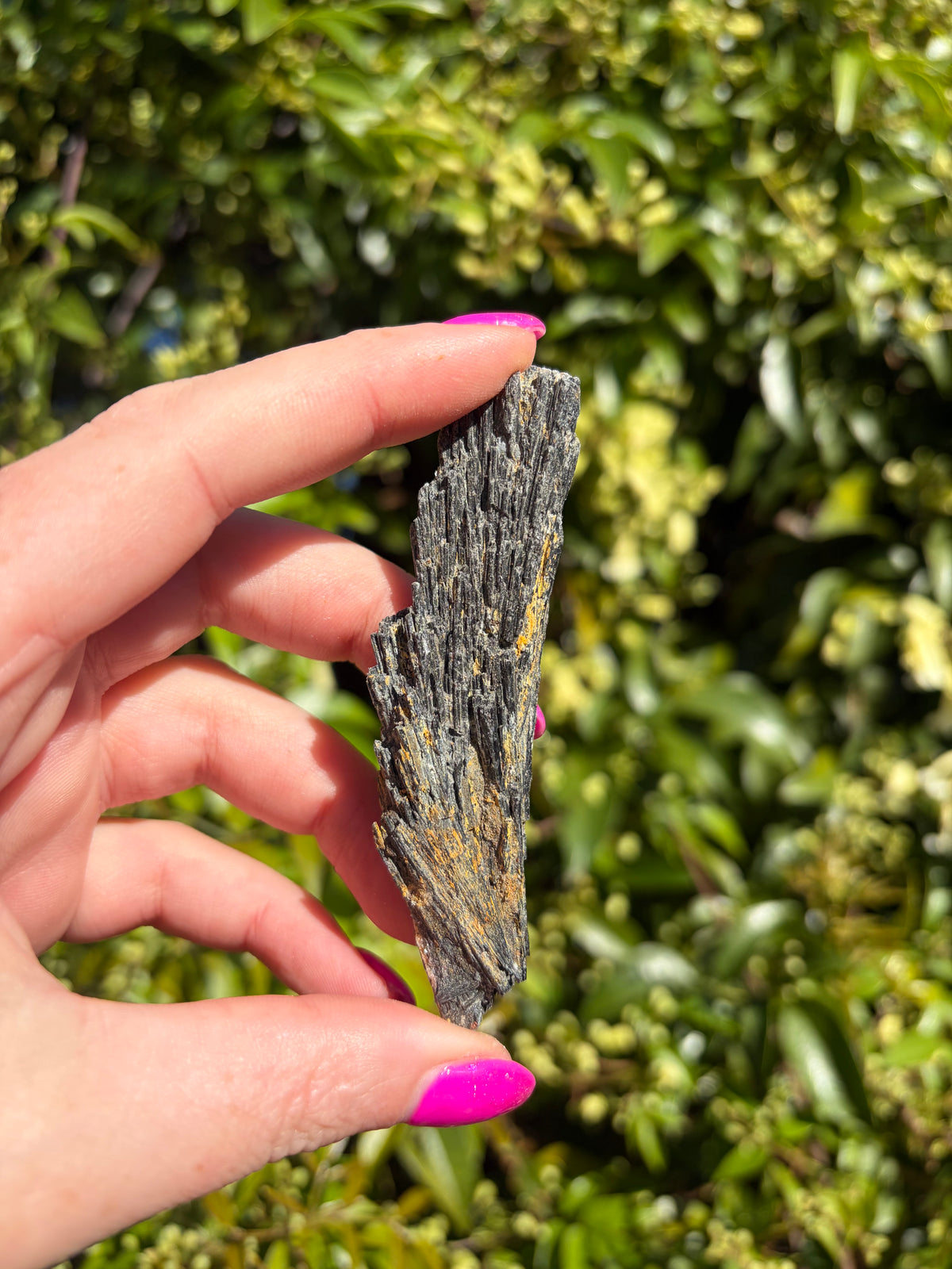 Black Kyanite Fan Piece F