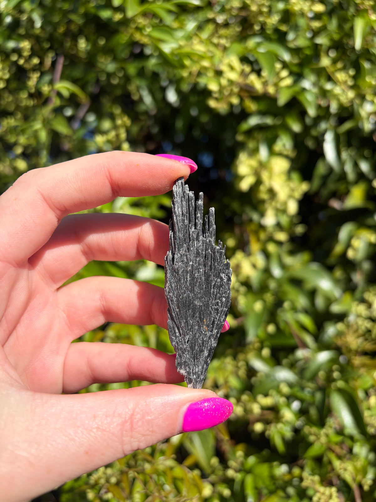 Black Kyanite Fan Piece G