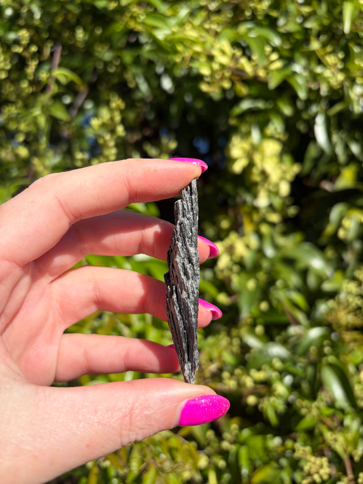 Black Kyanite Fan Piece G