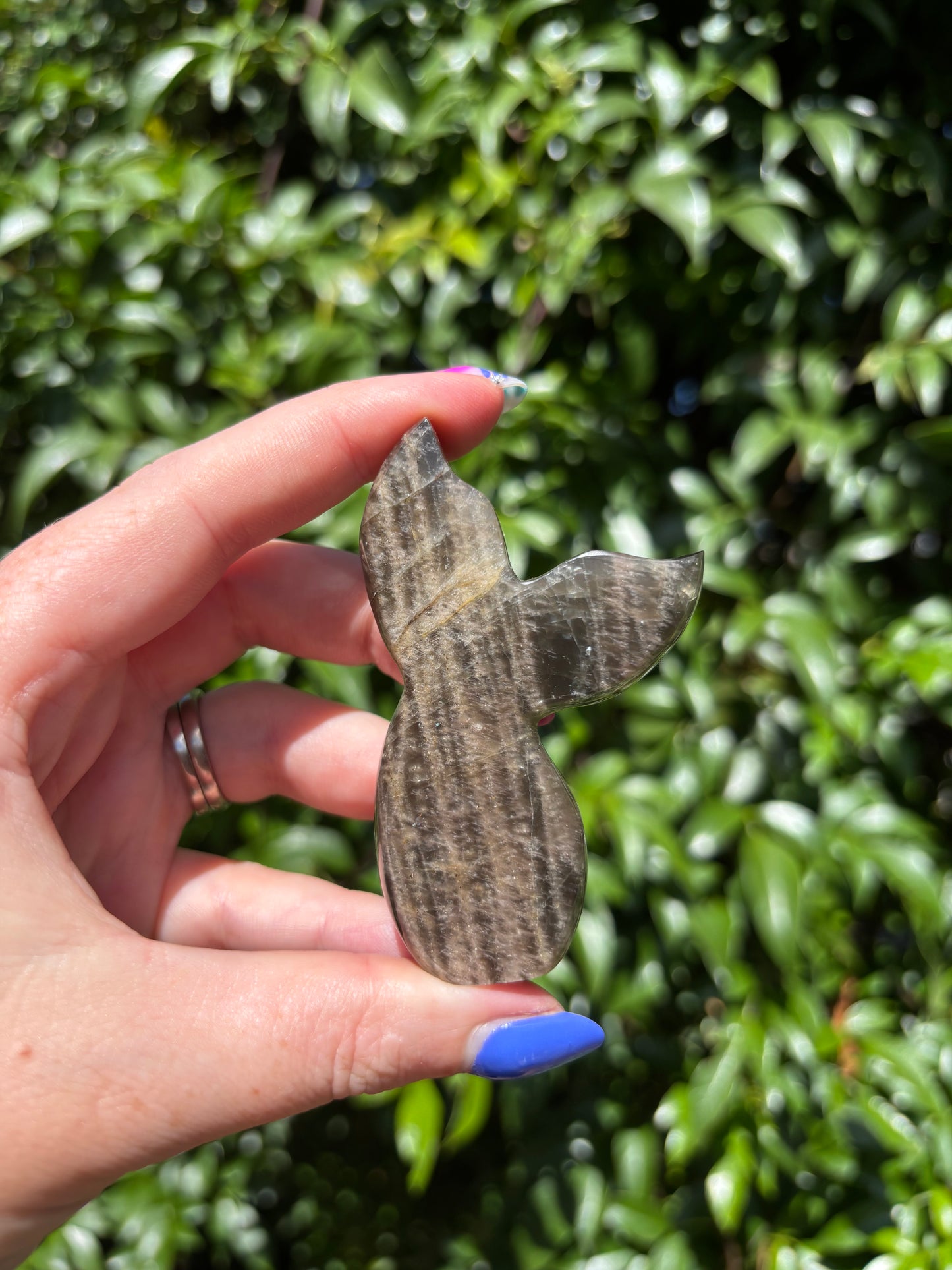Black Moonstone Mermaid Tail B