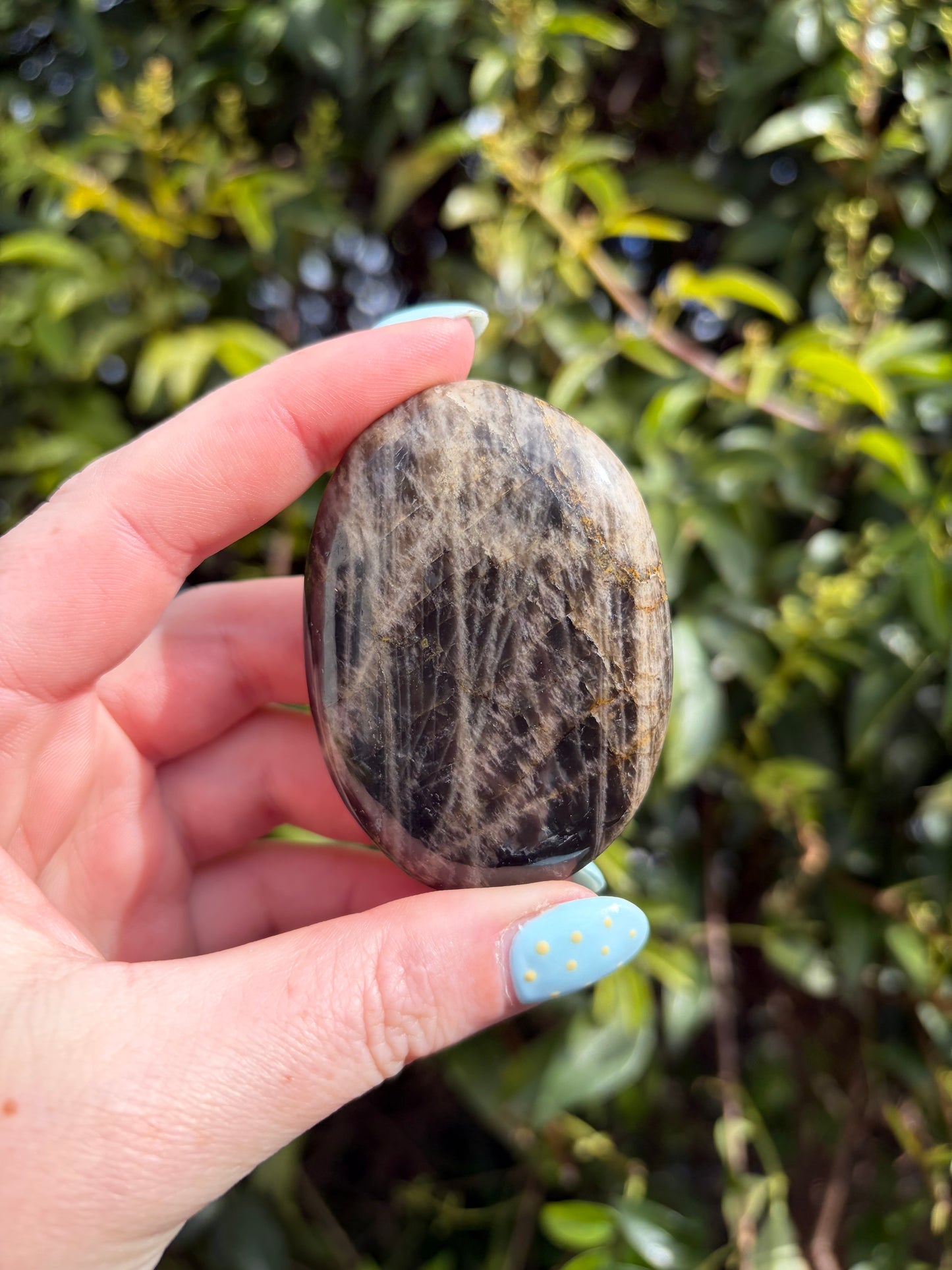 Black Moonstone Palm Stone B