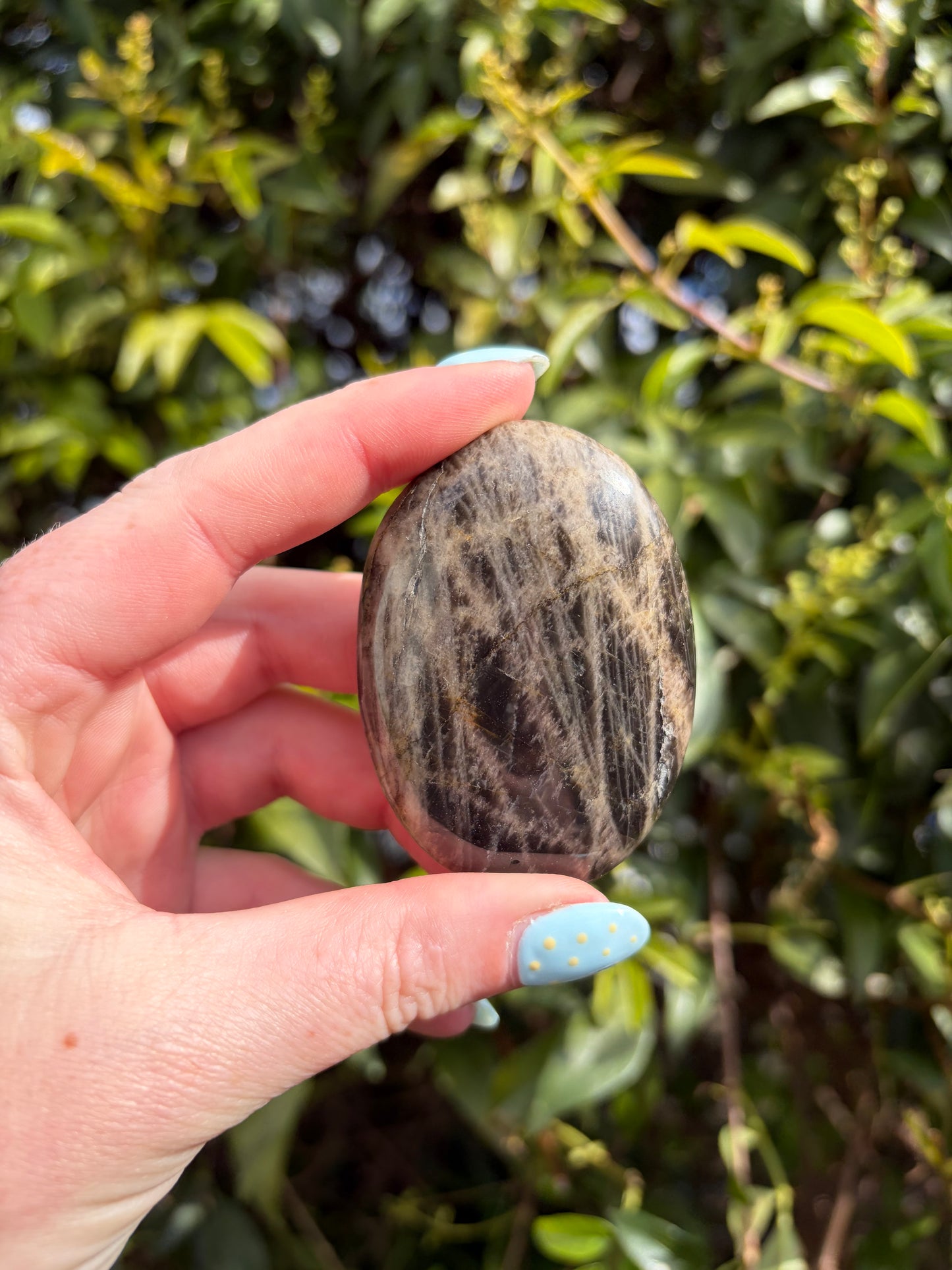 Black Moonstone Palm Stone B