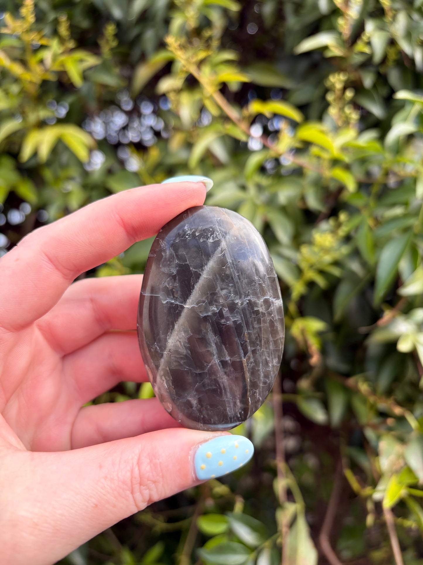 Black Moonstone Palm Stone E