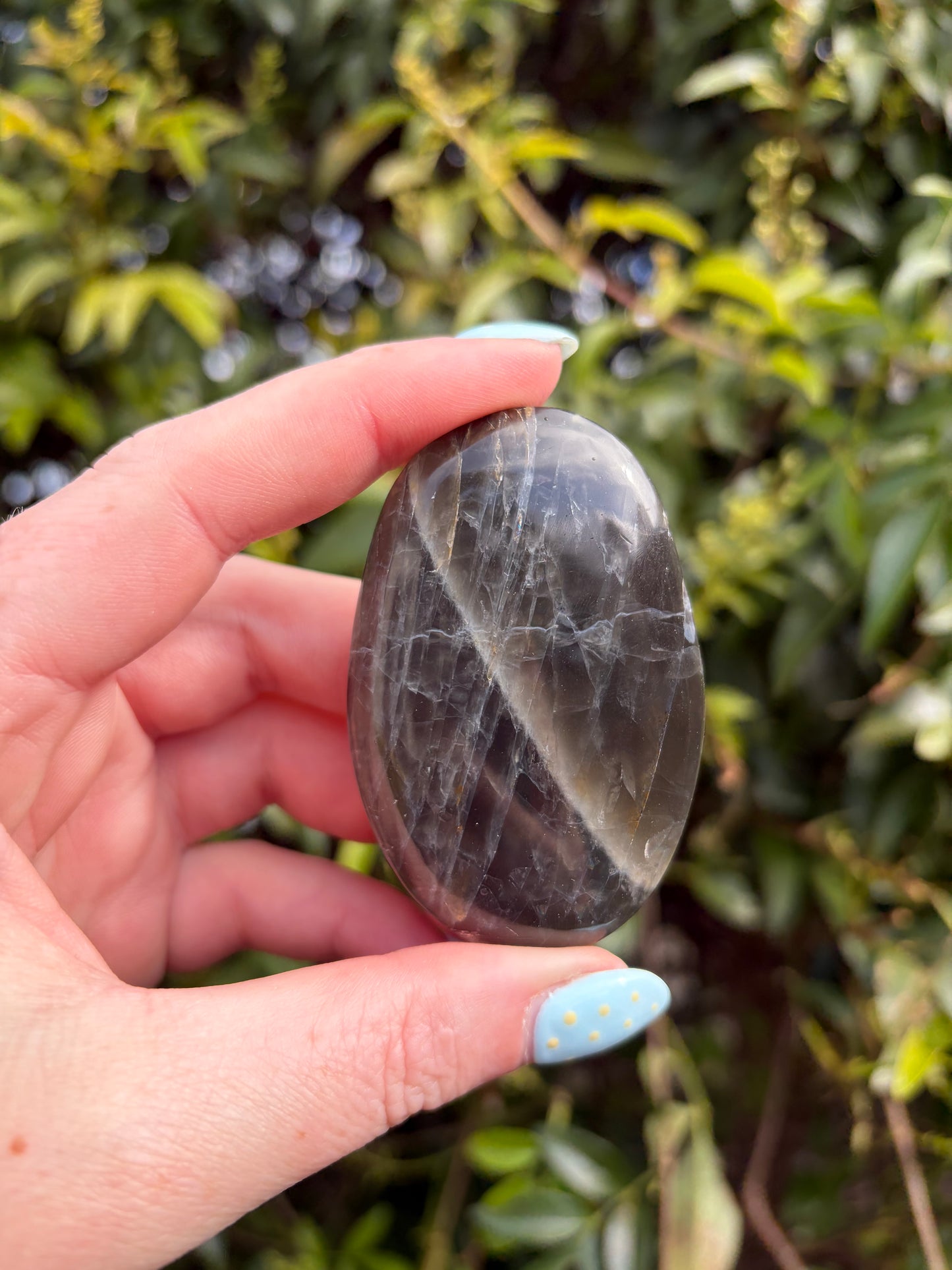 Black Moonstone Palm Stone E